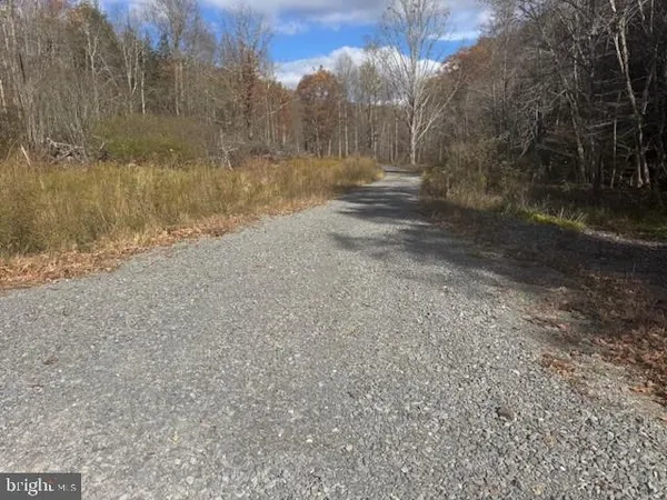 a view of a yard with trees