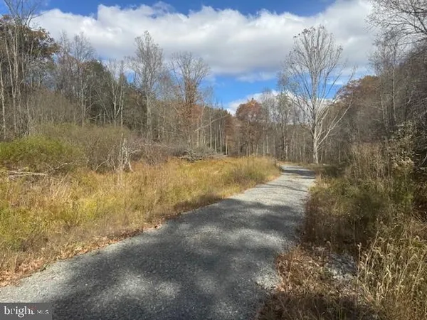 a view of a yard with trees