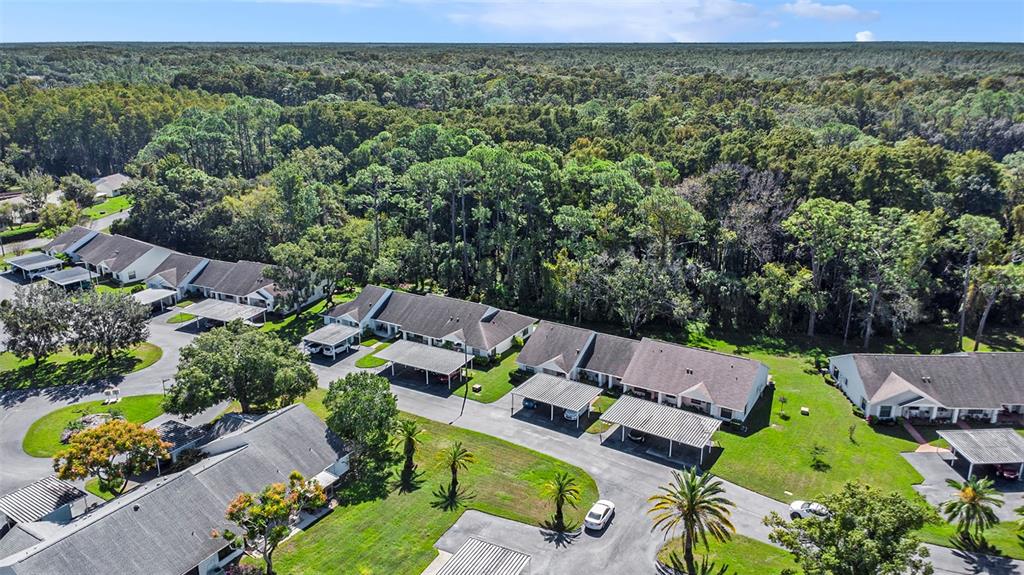 10736 Laquinta Drive New Port Richey, FL 34654 - Photo 32 of 34