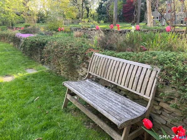 a view of a back yard