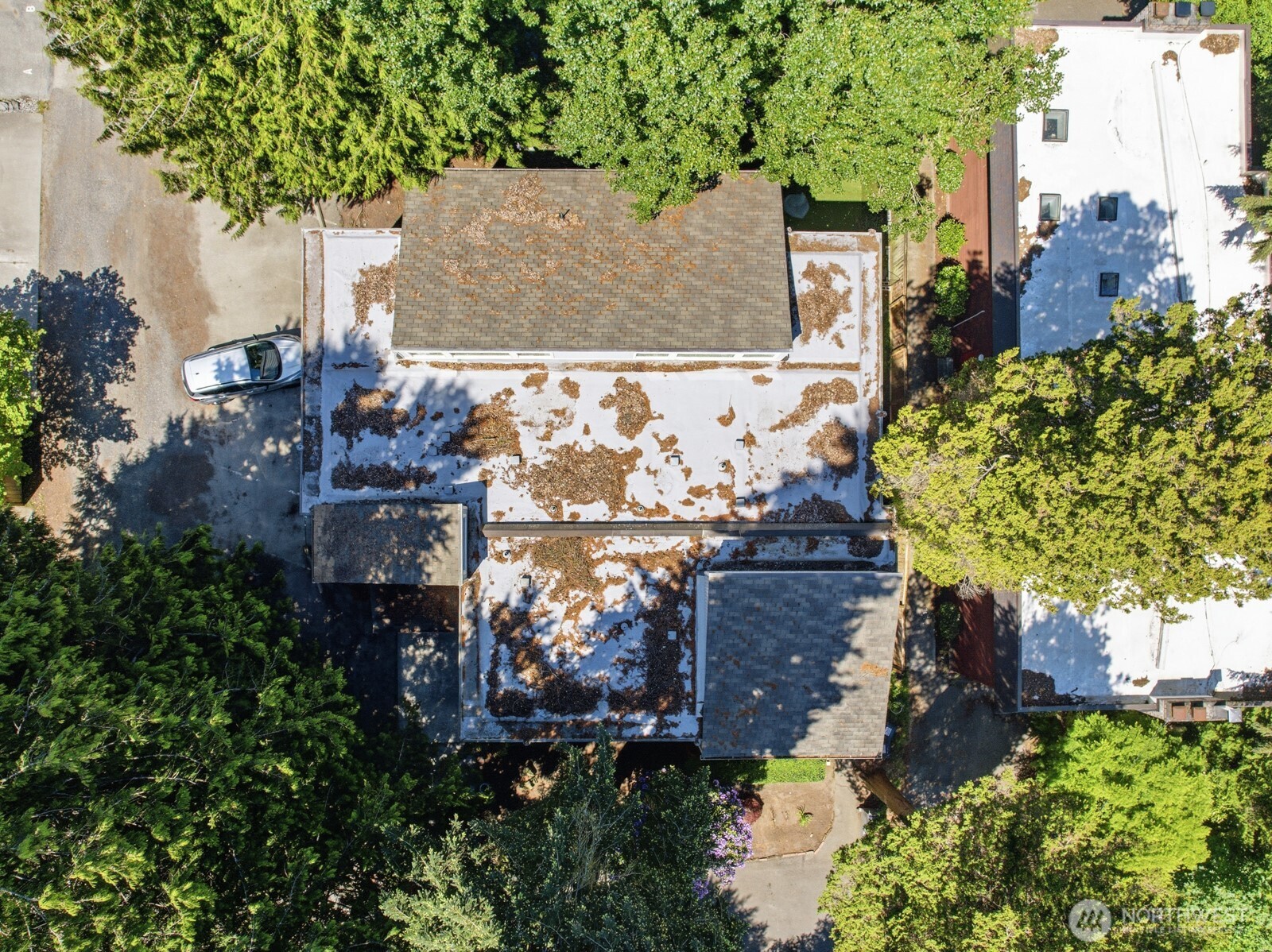 3510 West Elmore Street Seattle, WA 98199 - Photo 10 of 14