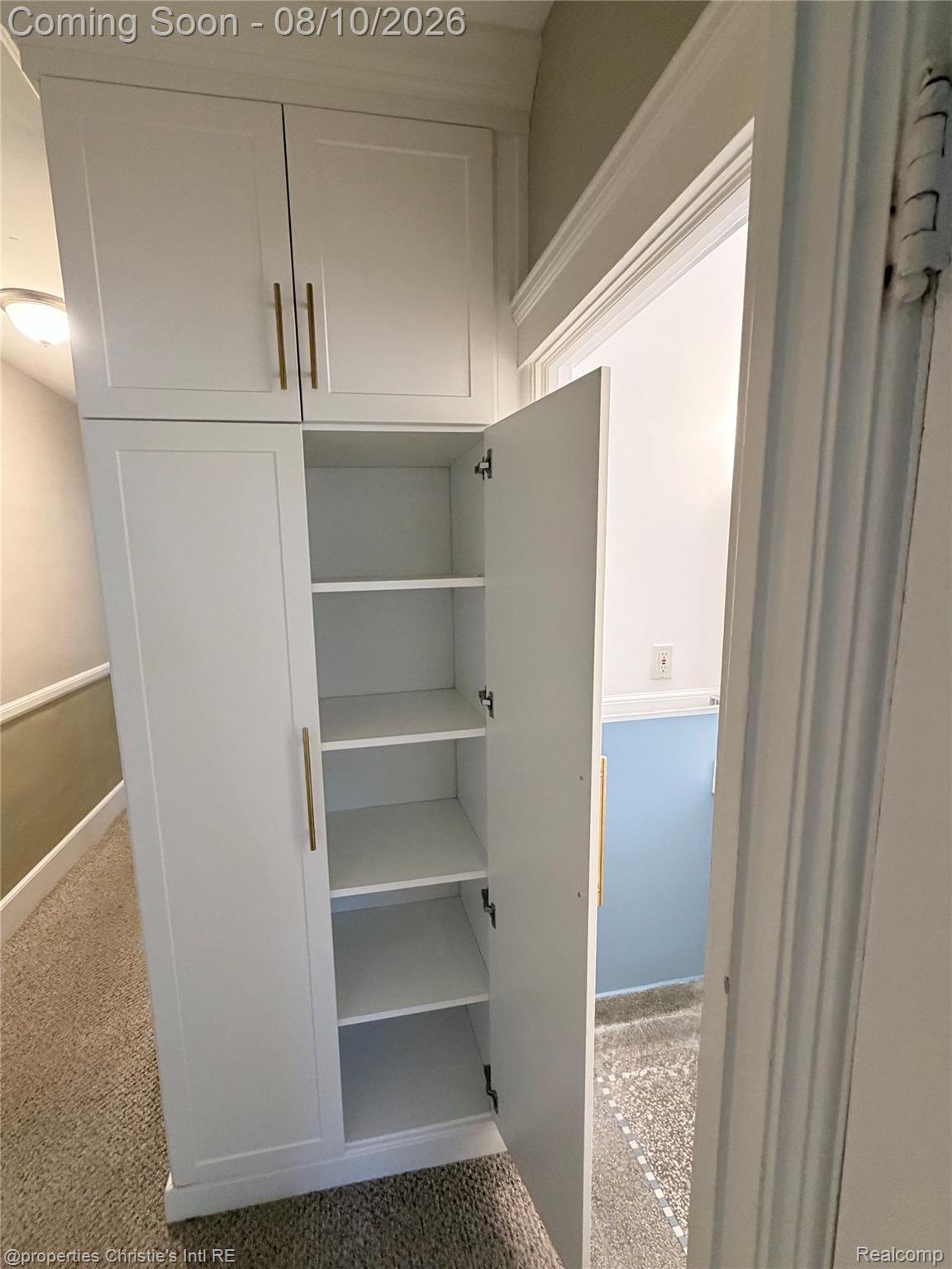858 Nottingham Road Grosse Pointe, MI 48230 - Photo 15 of 16 Built-in white cabinetry with gold-tone hardware, offering multiple storage shelves