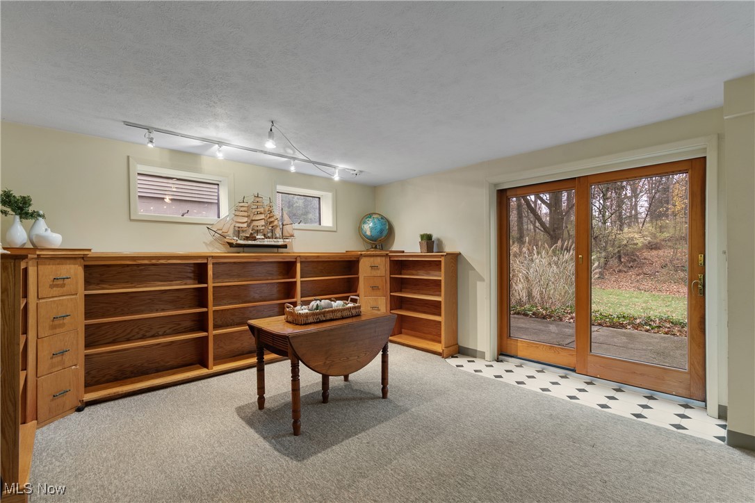 234 Reed Road Wooster, OH 44691 - Photo 24 of 36 Home office with a textured ceiling, healthy amount of natural light, and carpet floors