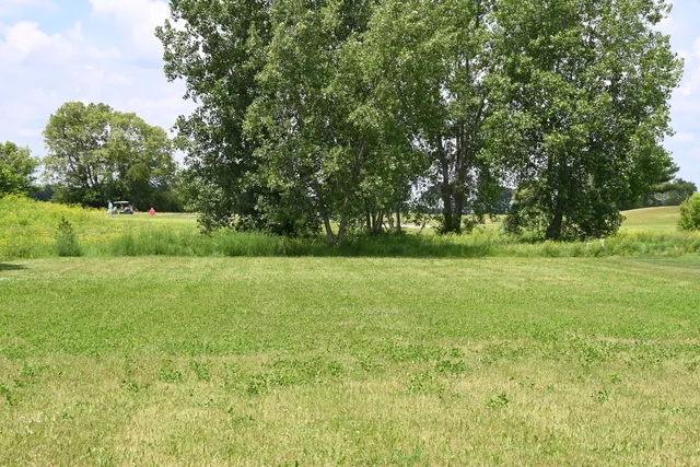a view of a field with a trees
