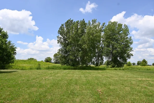 a view of outdoor space and yard