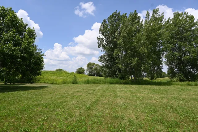 a view of a field of grass and trees