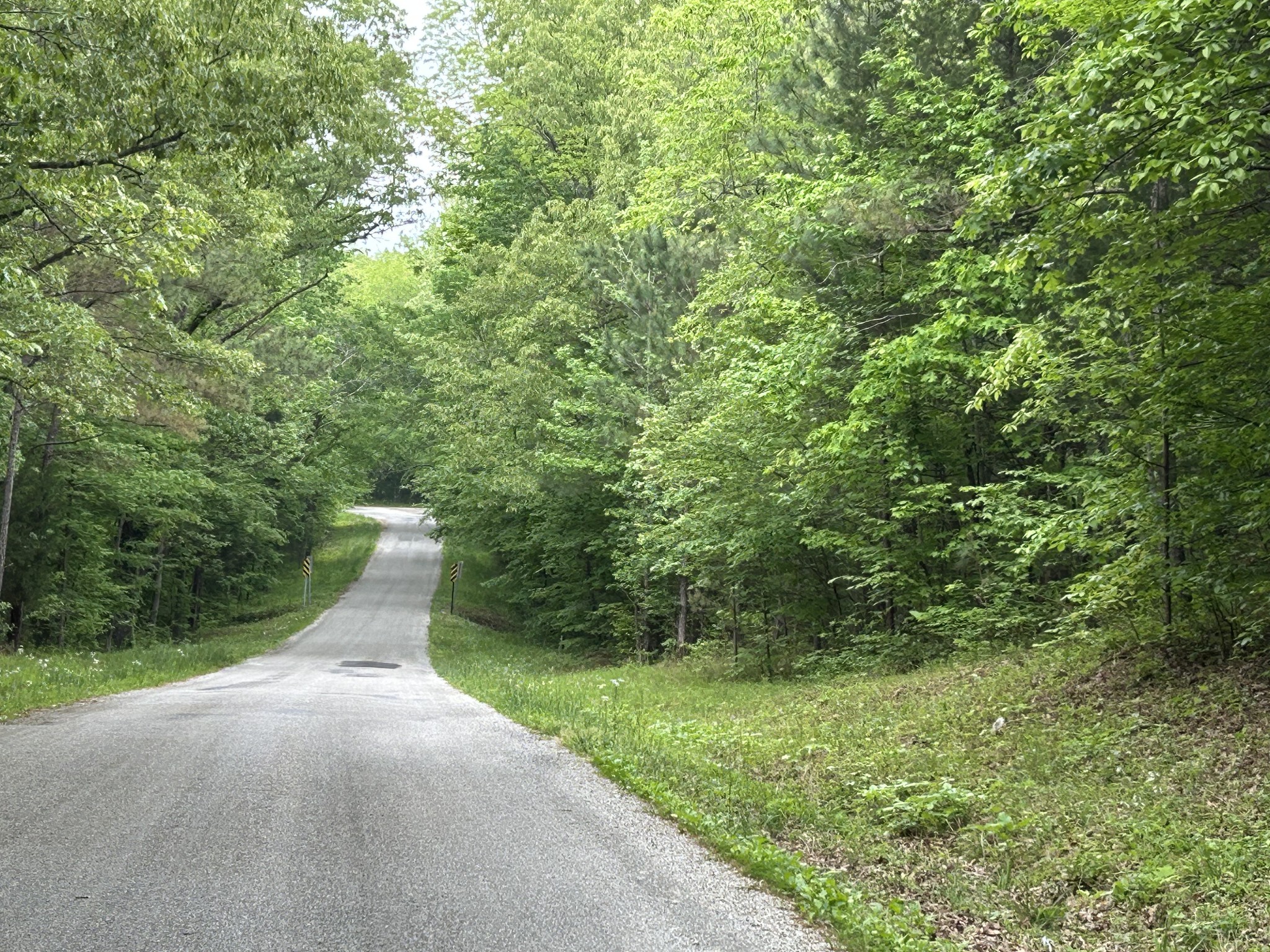 0 Doherty Store Road Big Sandy, TN 38221 - Photo 1 of 13 Gallery Image 1