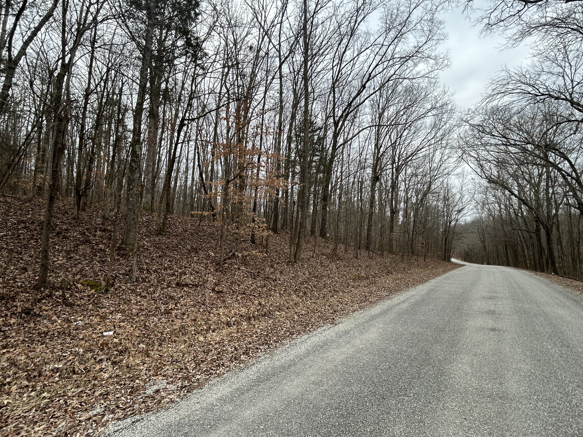 0 Doherty Store Road Big Sandy, TN 38221 - Photo 11 of 13 Gallery Image 11