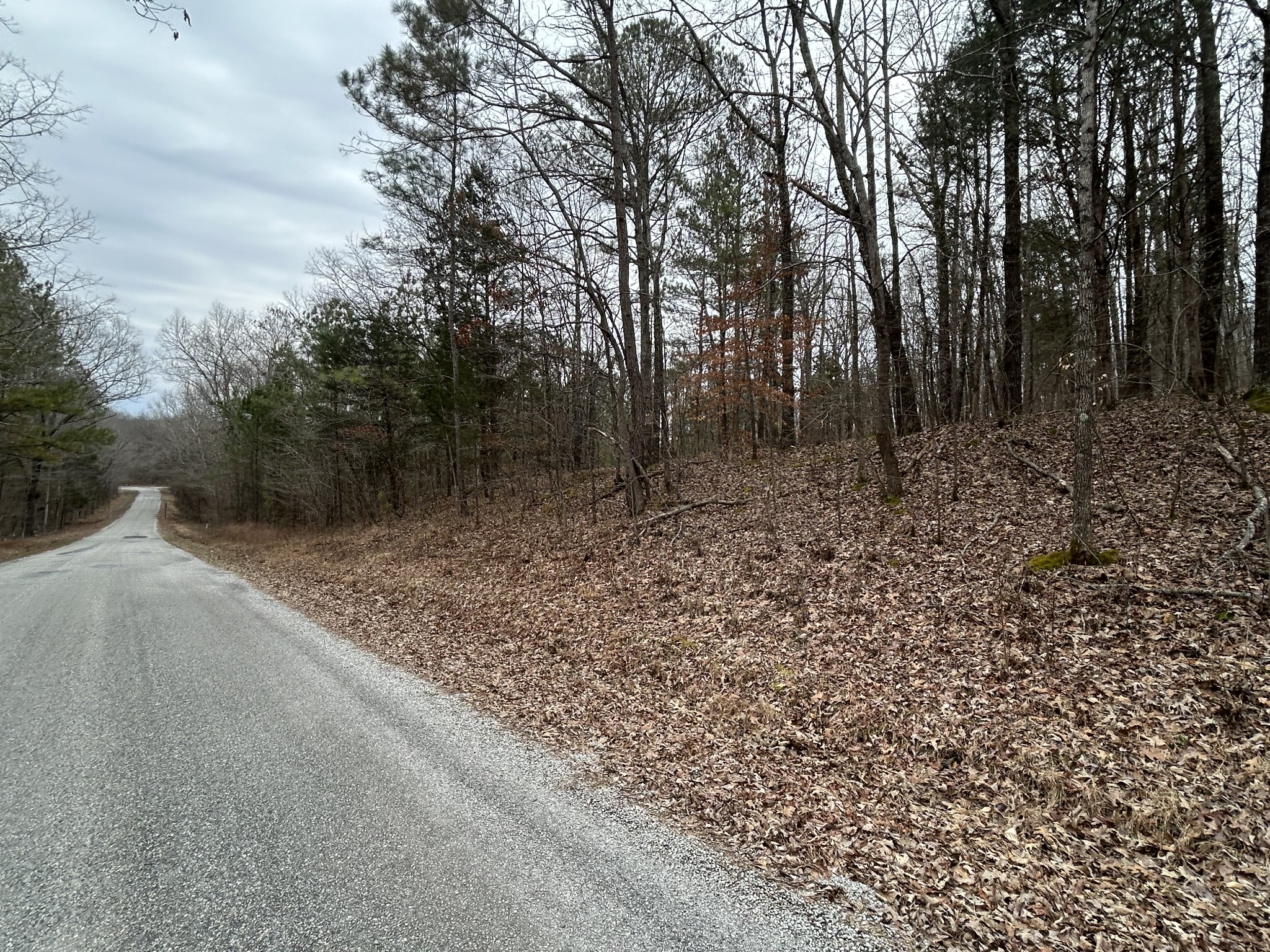 0 Doherty Store Road Big Sandy, TN 38221 - Photo 12 of 13 Gallery Image 12