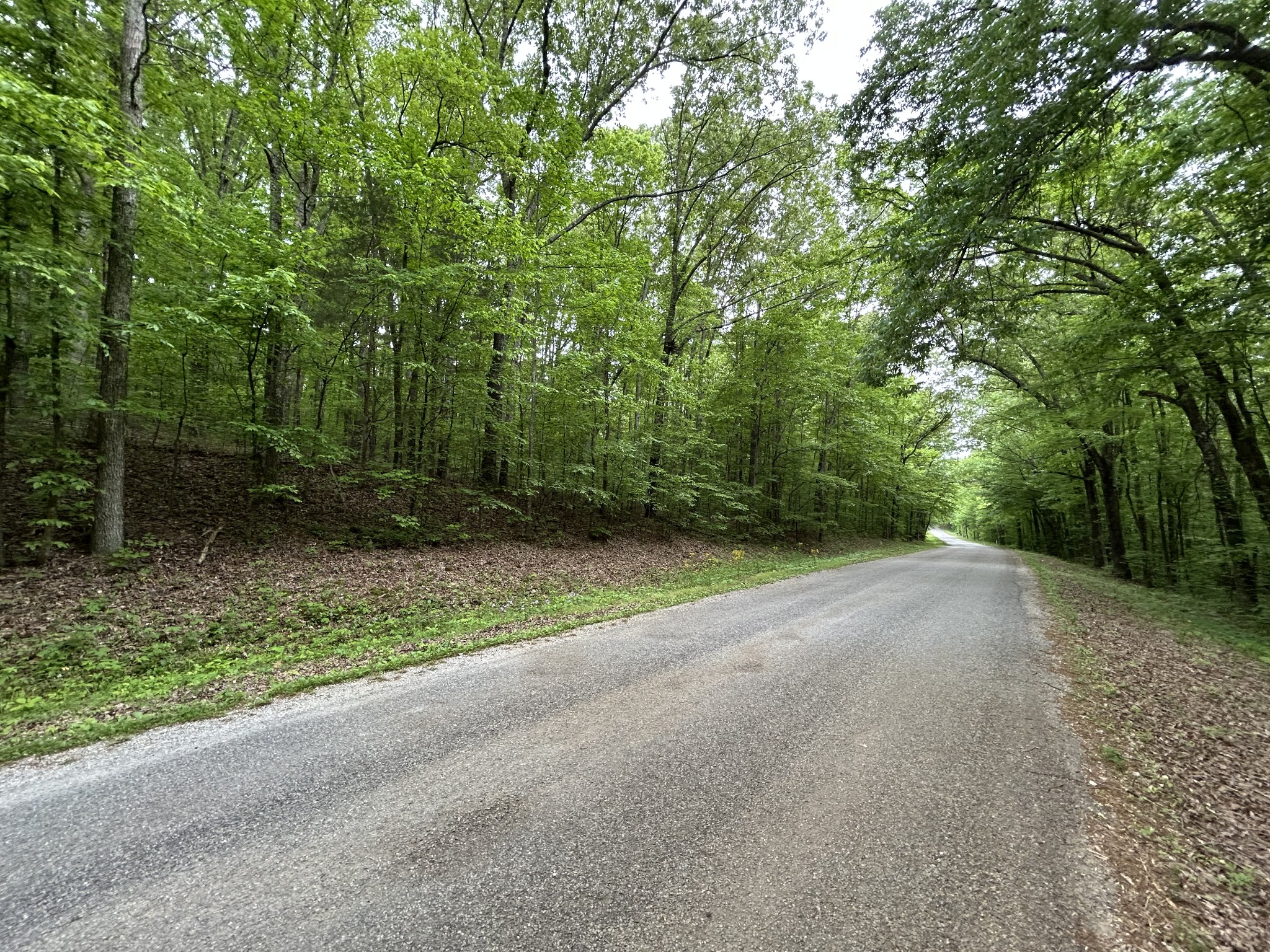 0 Doherty Store Road Big Sandy, TN 38221 - Photo 2 of 13 Gallery Image 2