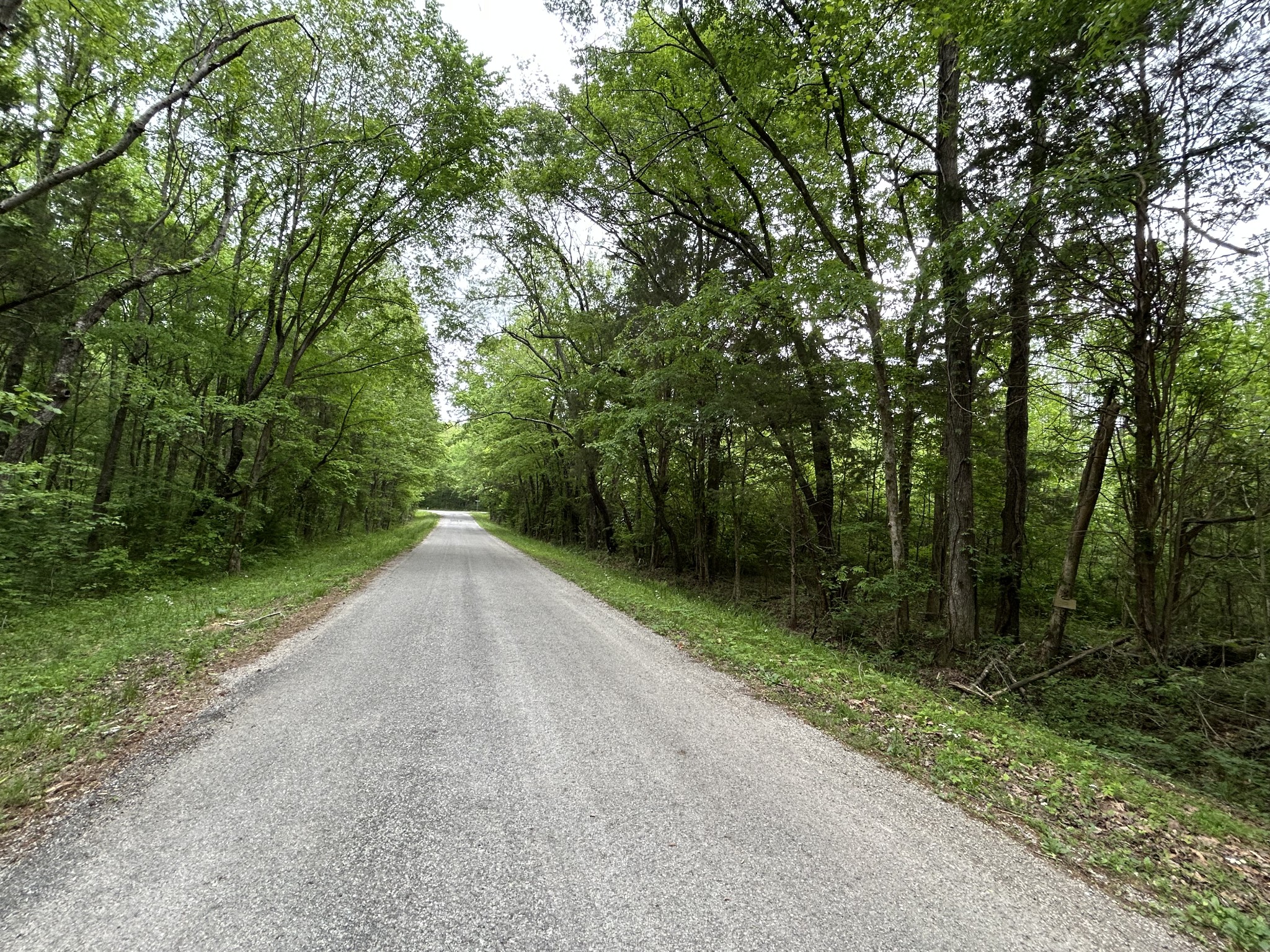 0 Doherty Store Road Big Sandy, TN 38221 - Photo 3 of 13 Gallery Image 3