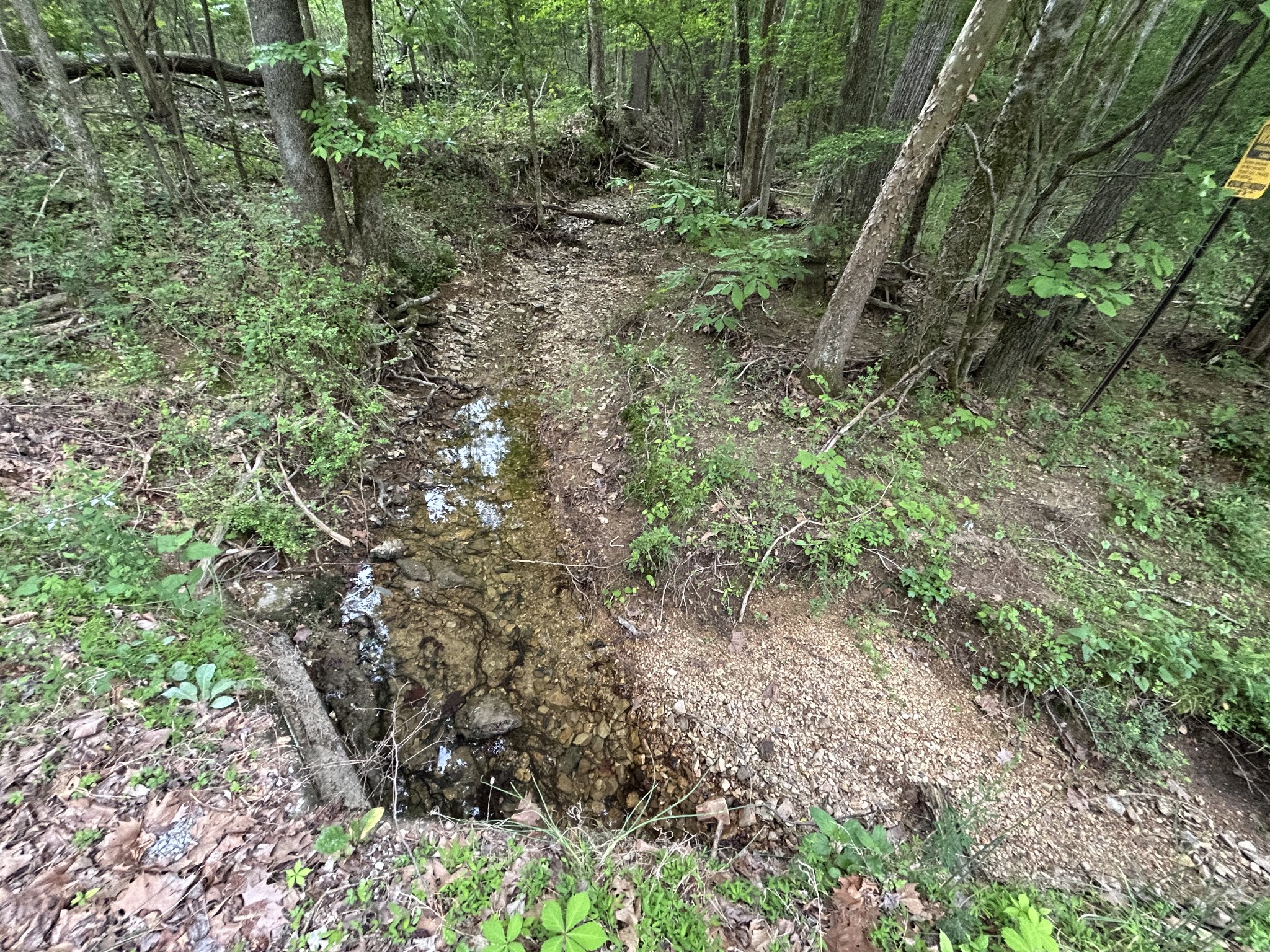 0 Doherty Store Road Big Sandy, TN 38221 - Photo 4 of 13 Gallery Image 4