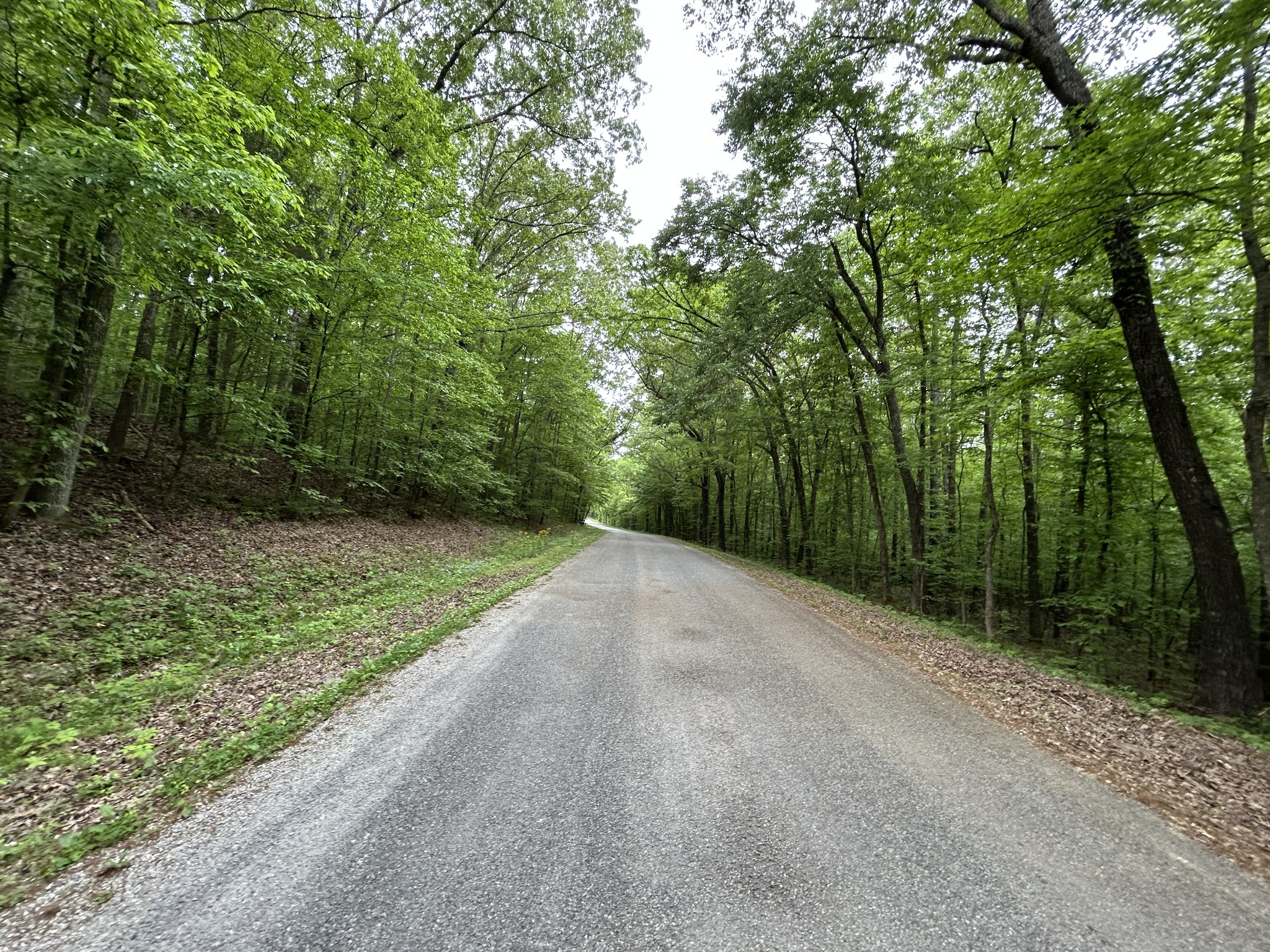 0 Doherty Store Road Big Sandy, TN 38221 - Photo 10 of 13 Gallery Image 10
