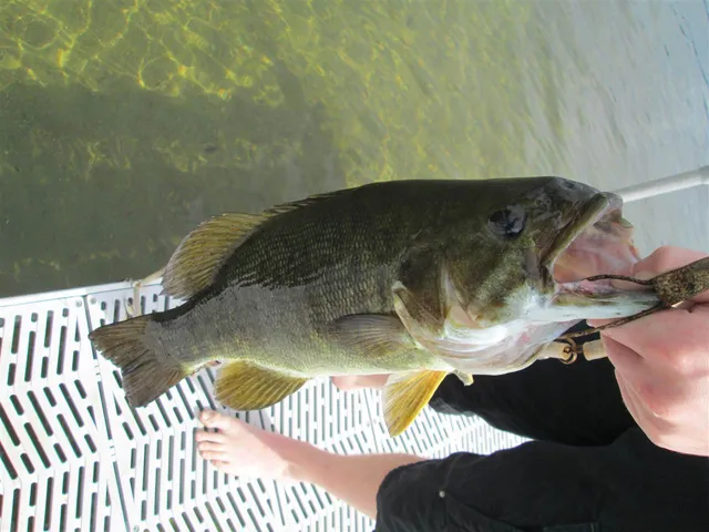 $1,999 | 135 West Shore Road, Unit COTTAGE #1, Bristol, NH 03222