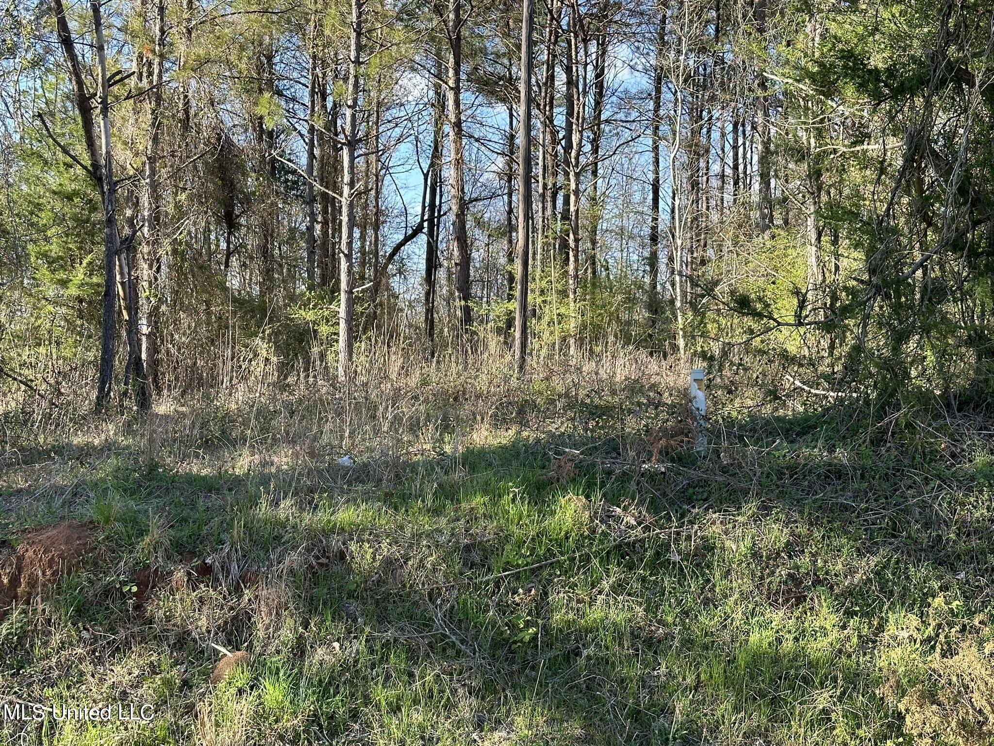 Stratton Rd Rd Union Union, MS 39365 - Photo 2 of 9 IMG_3499
