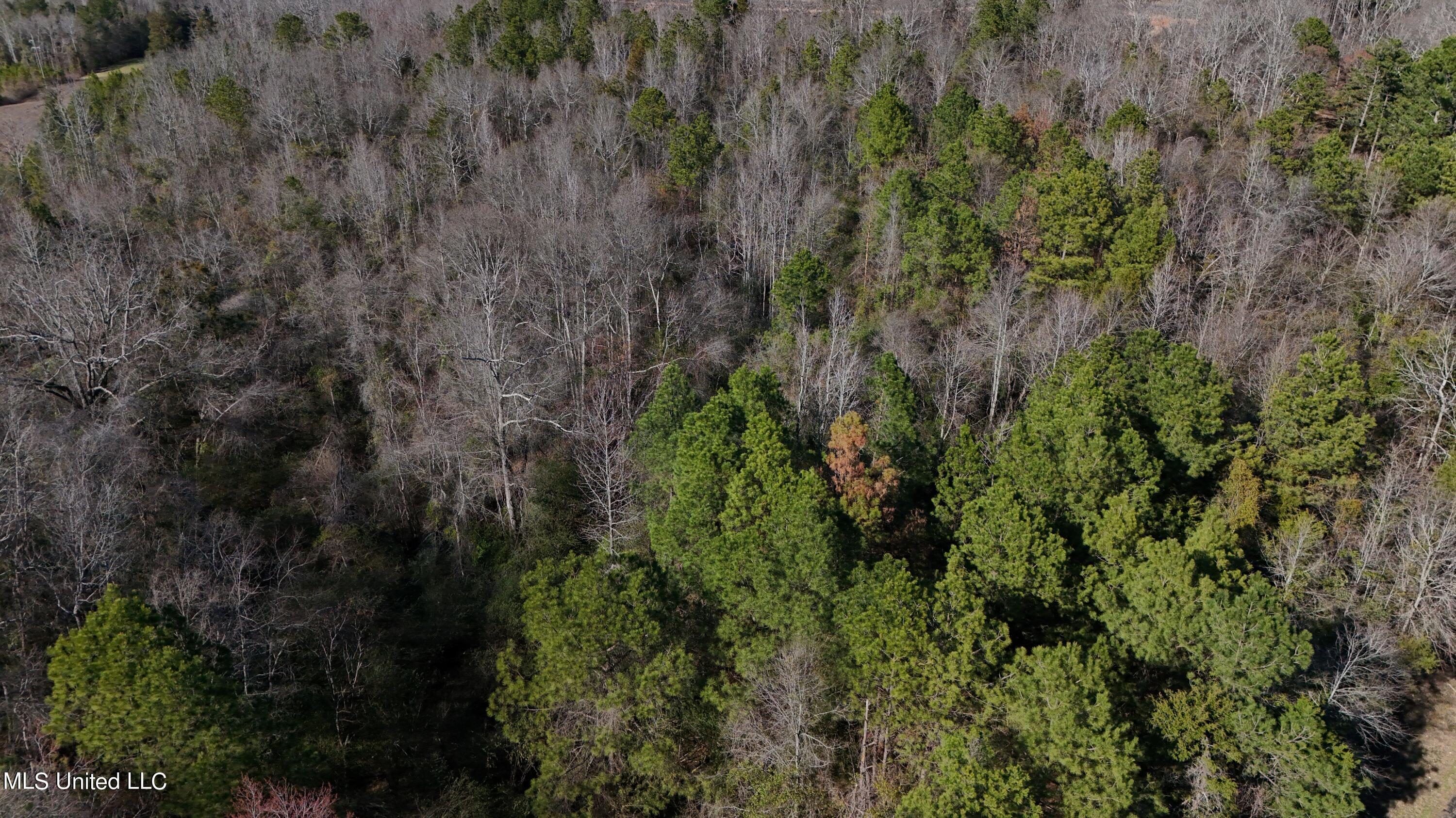 Stratton Rd Rd Union Union, MS 39365 - Photo 3 of 9 DJI_20240218150713_0042_D