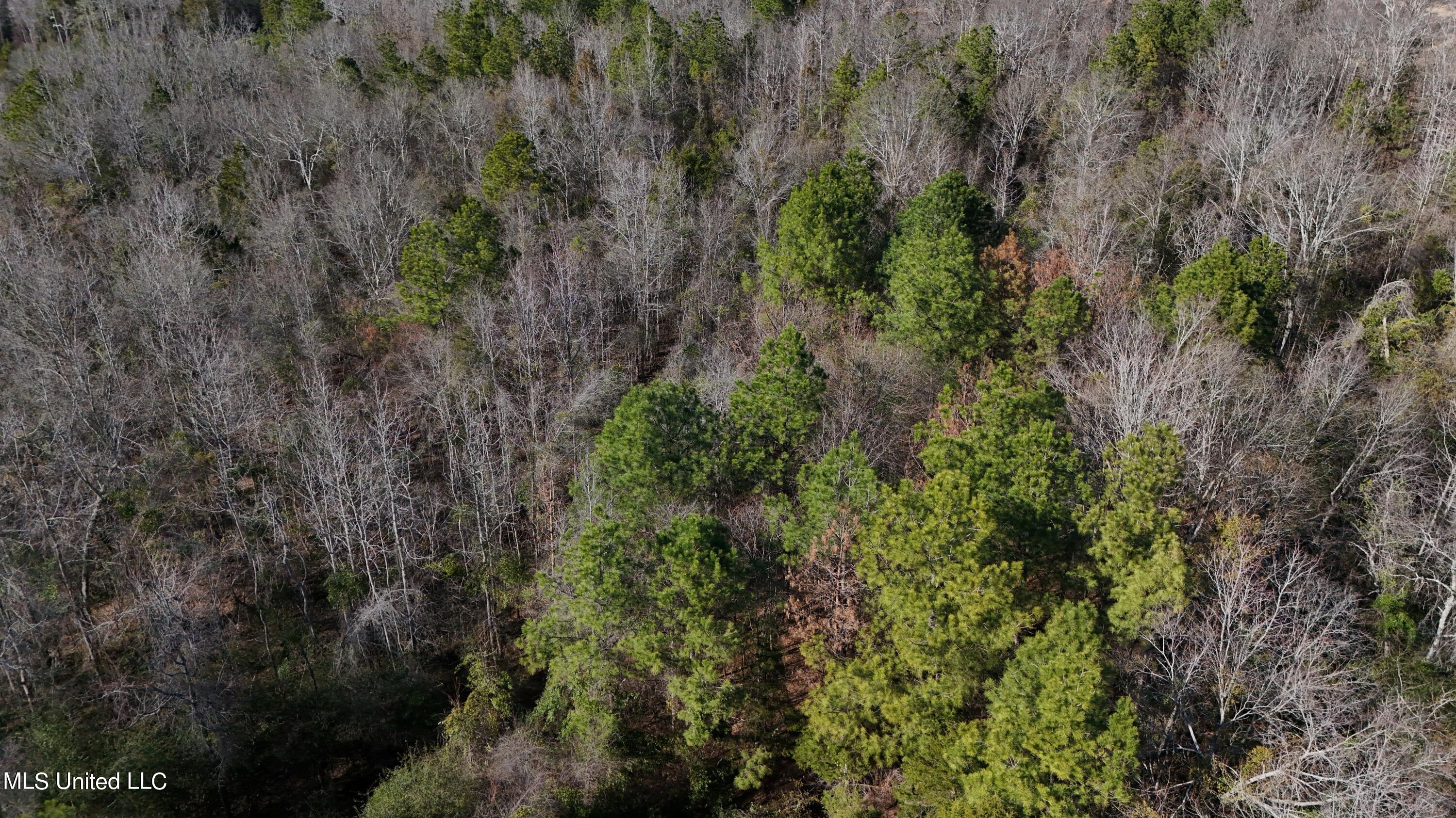 Stratton Rd Rd Union Union, MS 39365 - Photo 4 of 9 DJI_20240218150747_0043_D