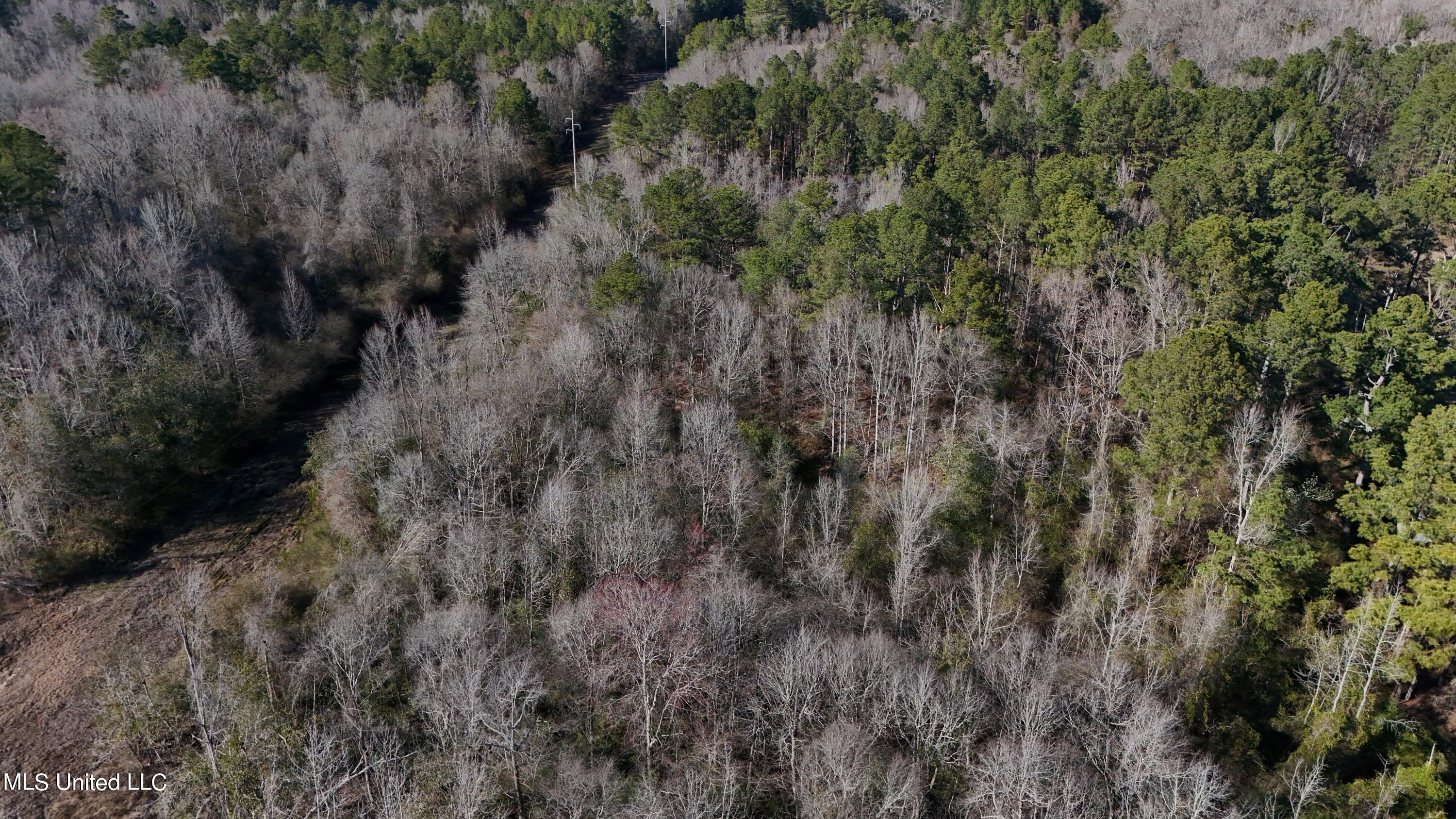 Stratton Rd Rd Union Union, MS 39365 - Photo 5 of 9 DJI_20240218151047_0044_D