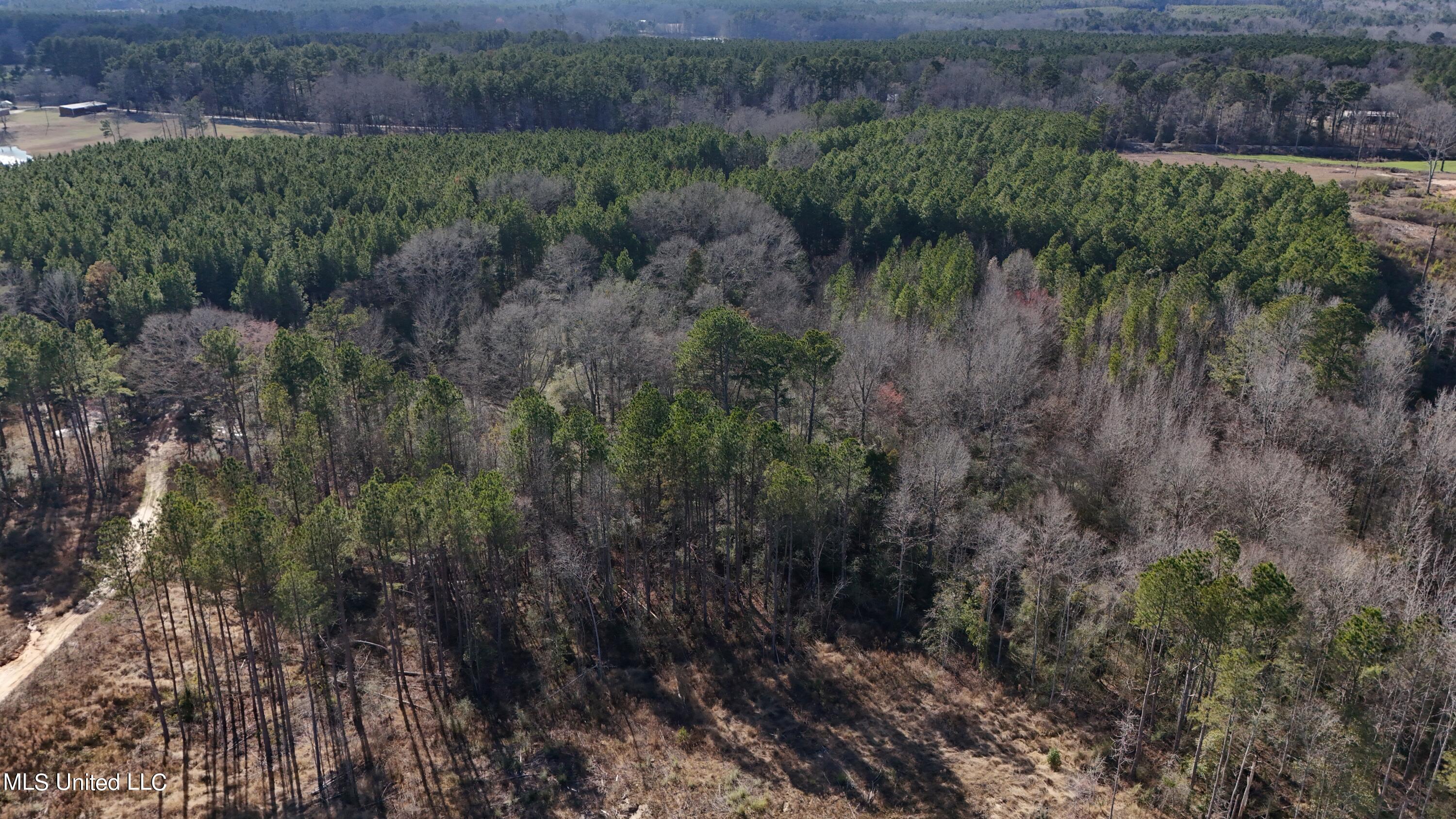 Stratton Rd Rd Union Union, MS 39365 - Photo 6 of 9 DJI_20240218151207_0045_D