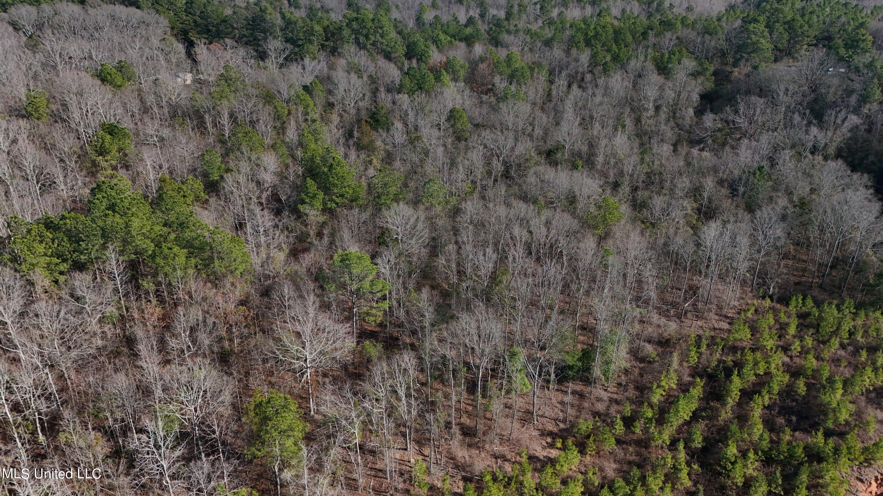 Stratton Rd Rd Union Union, MS 39365 - Photo 7 of 9 DJI_20240218151350_0046_D