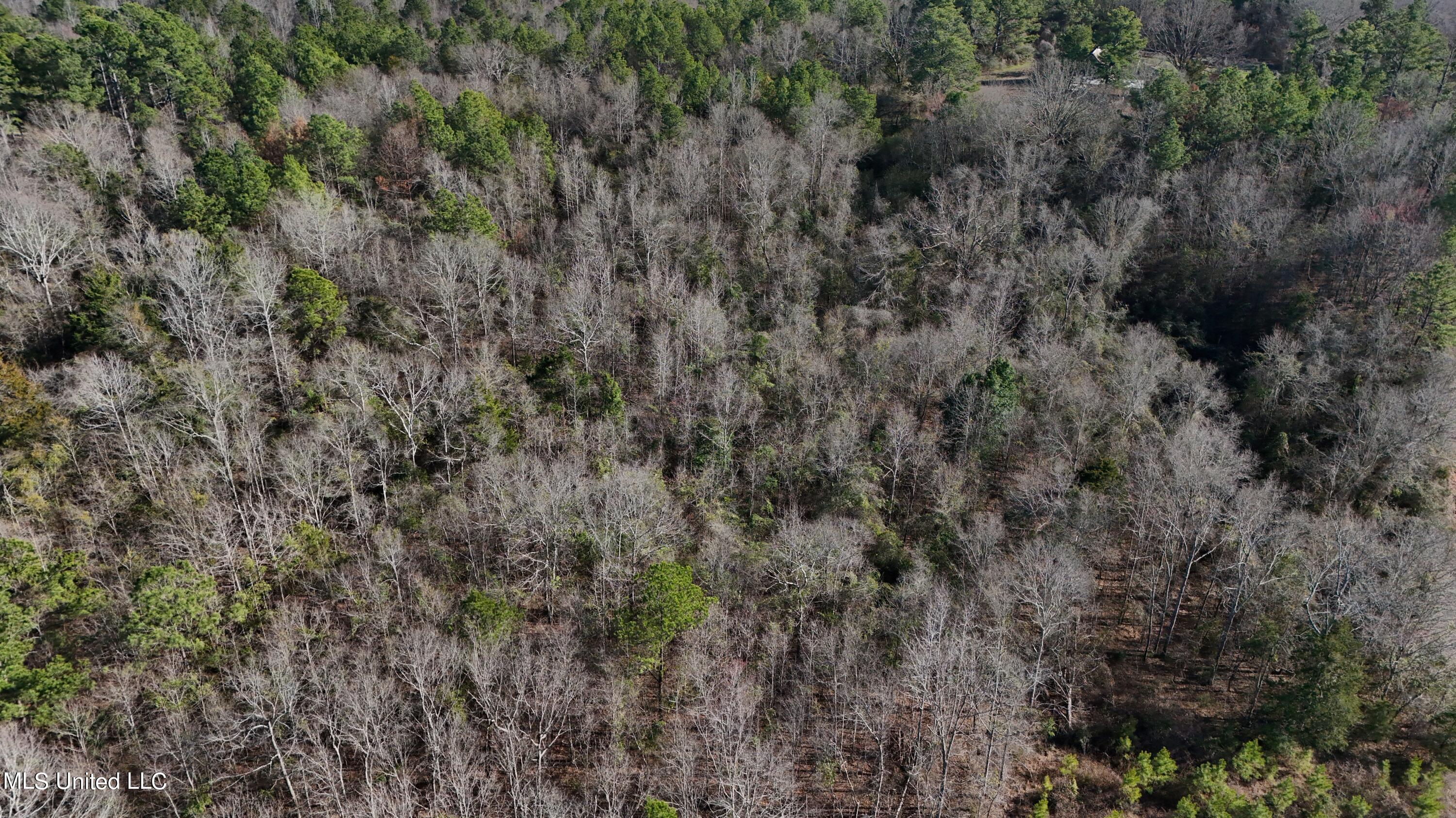 Stratton Rd Rd Union Union, MS 39365 - Photo 8 of 9 DJI_20240218151413_0047_D
