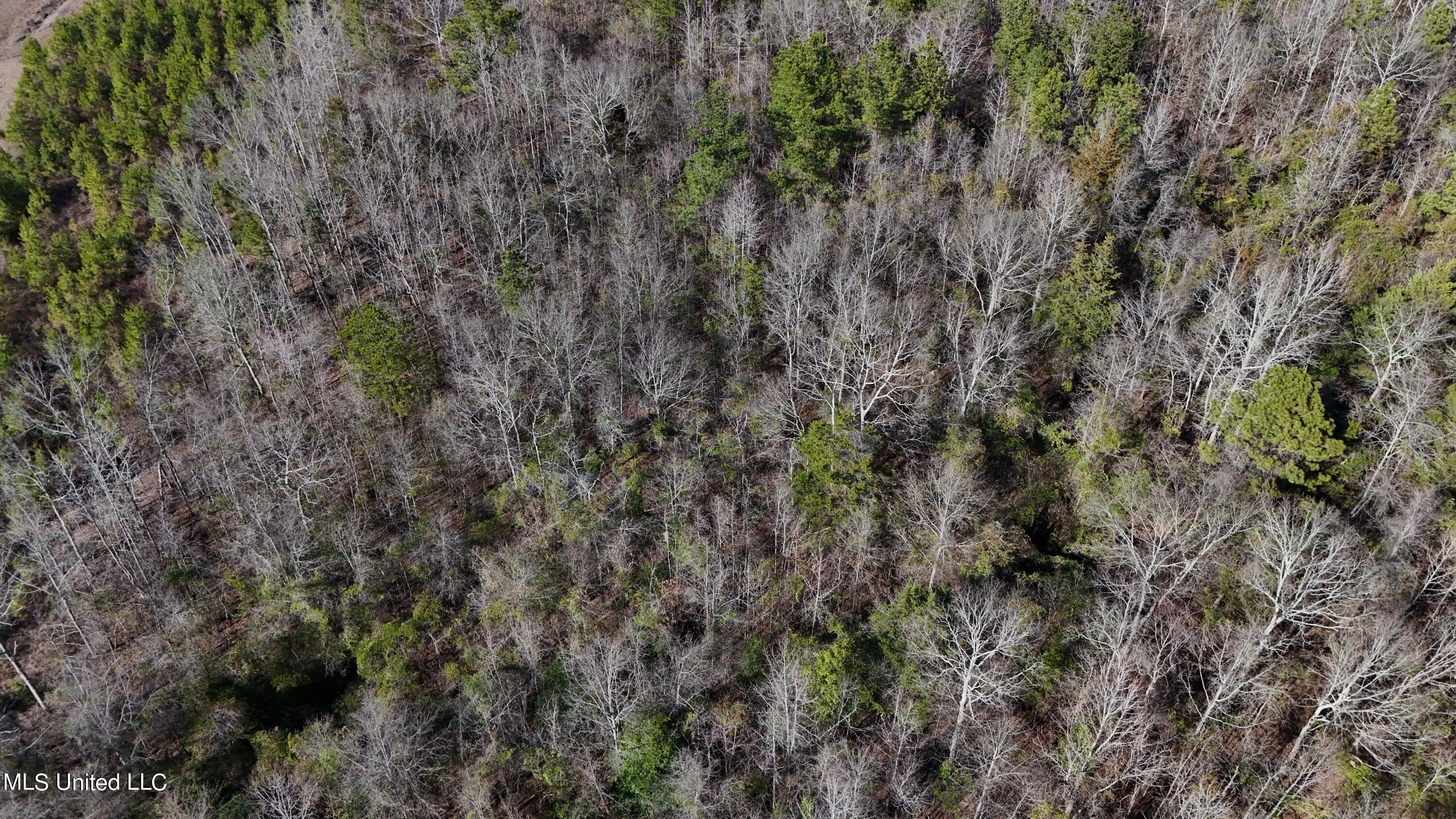 Stratton Rd Rd Union Union, MS 39365 - Photo 9 of 9 DJI_20240218151454_0048_D