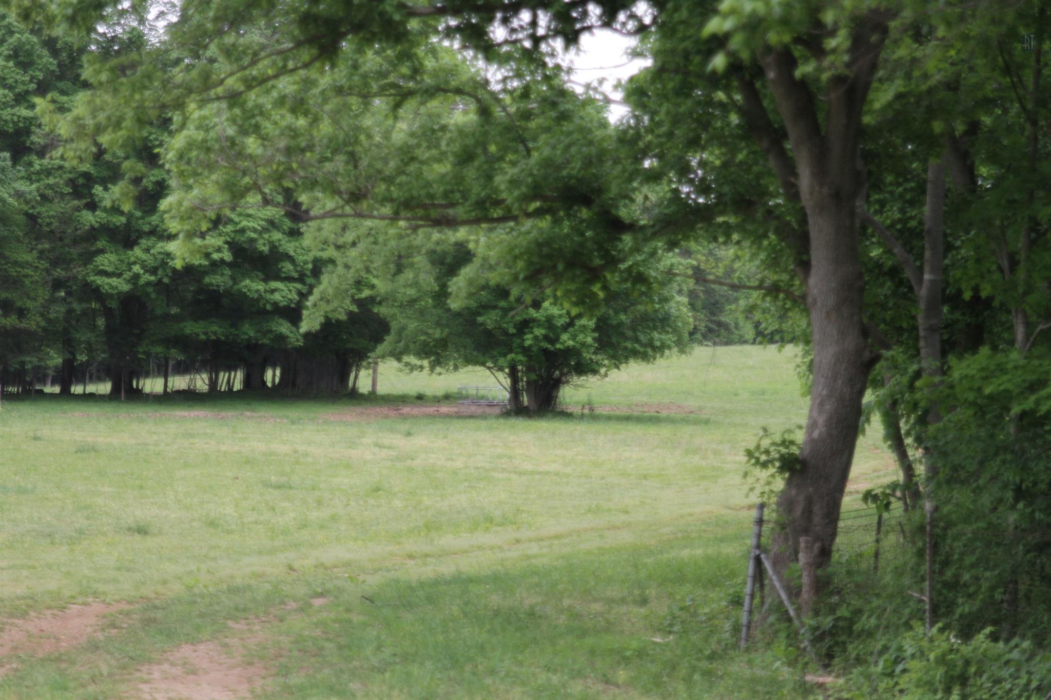 8292 Horseshoe Road Cross Plains, TN 37049 - Photo 5 of 12 Gallery Image 5