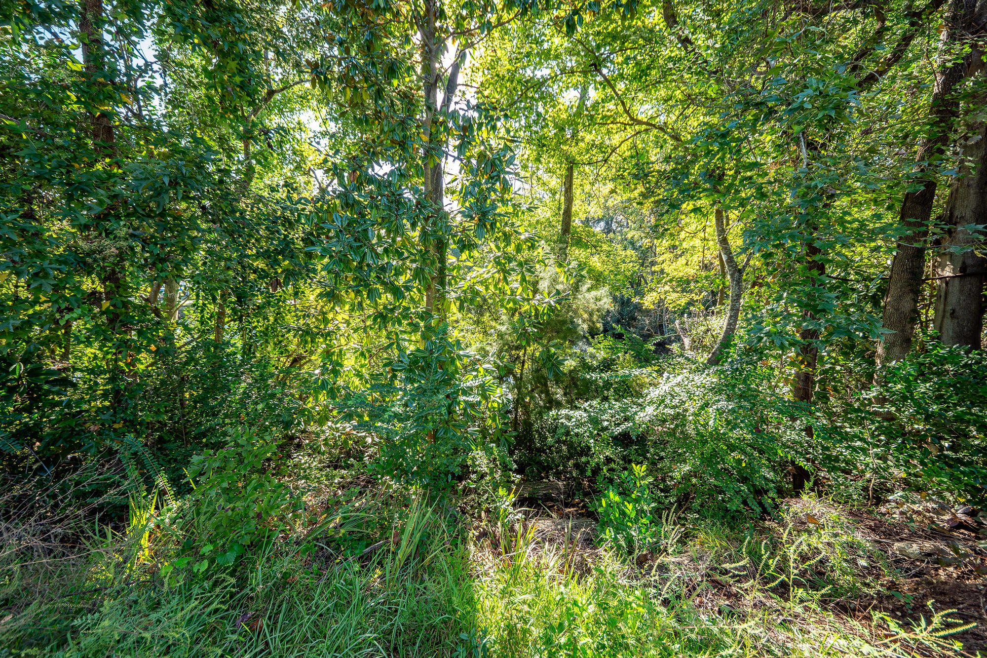 1039 Riverview Drive Hanahan, SC 29410 - Photo 46 of 54 46