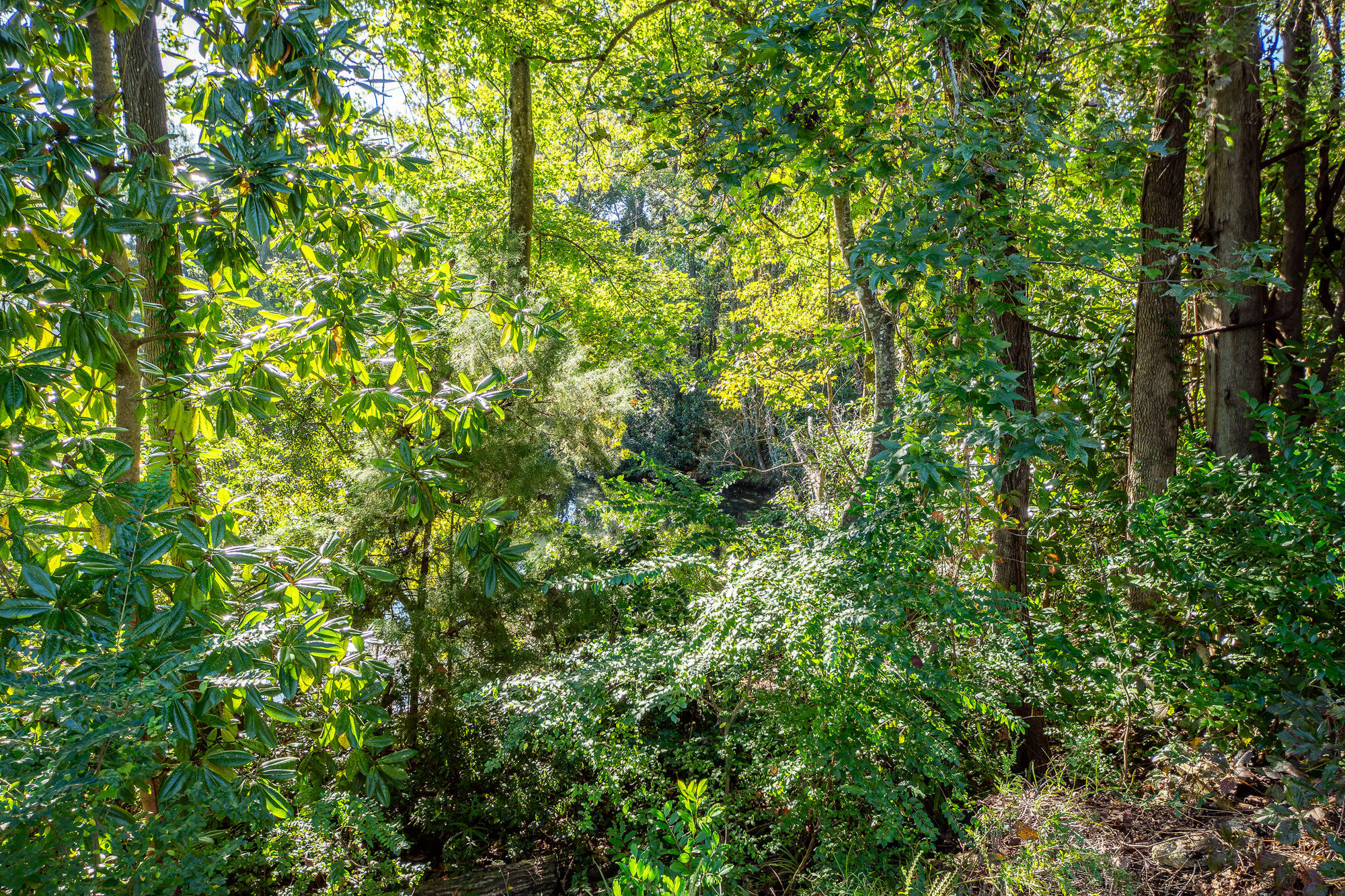 1039 Riverview Drive Hanahan, SC 29410 - Photo 47 of 54 47