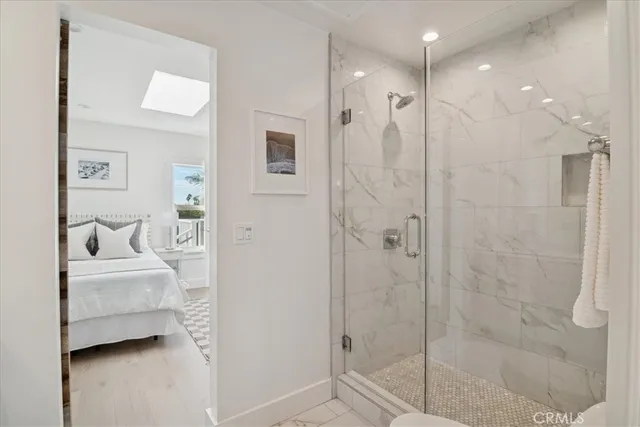 a view of a patio with couches and a potted plant on a table