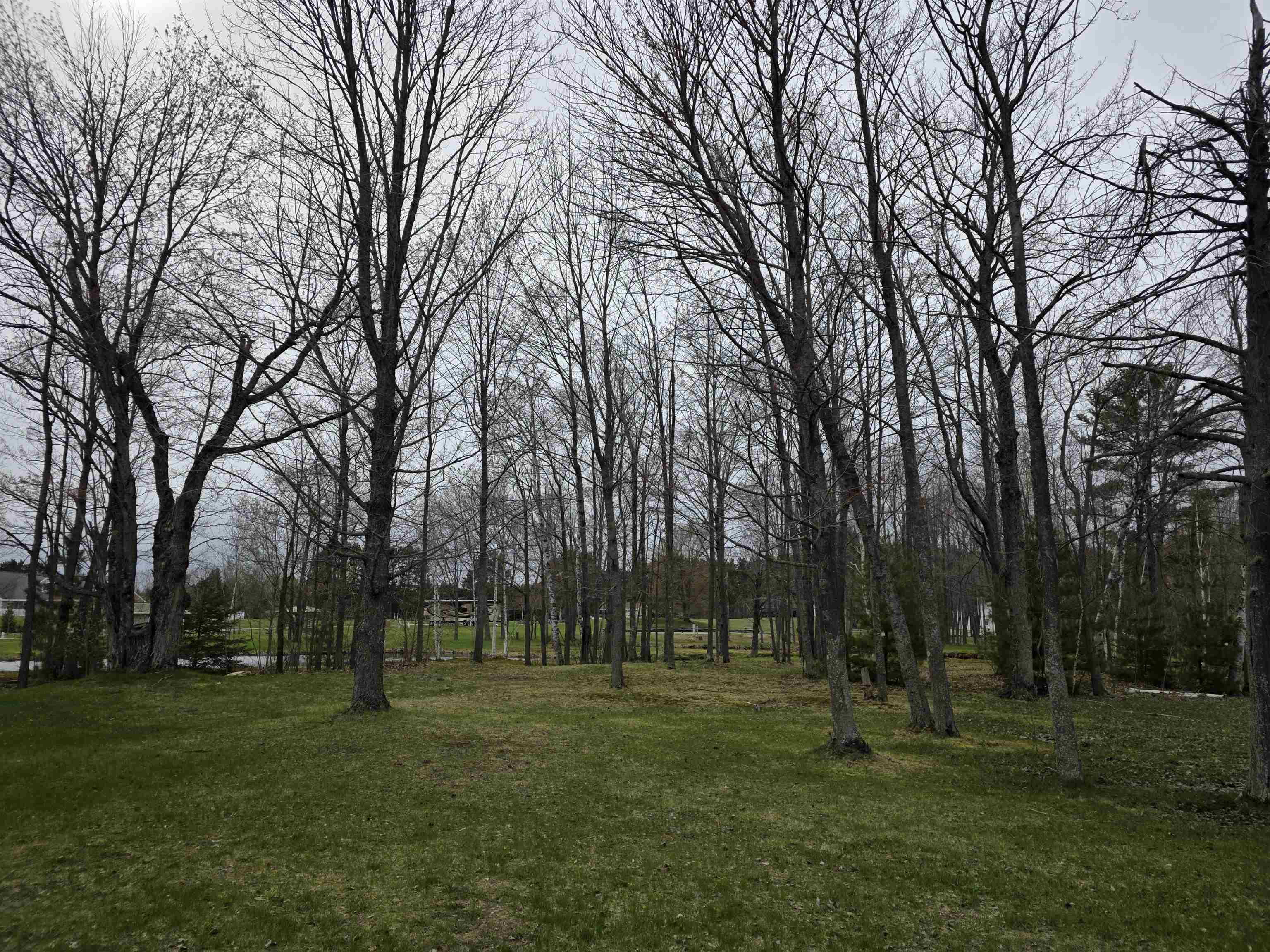 6100 Larson Road, Unit LOT: LOT 12 South Boardman, MI 49680 - Photo 8 of 16