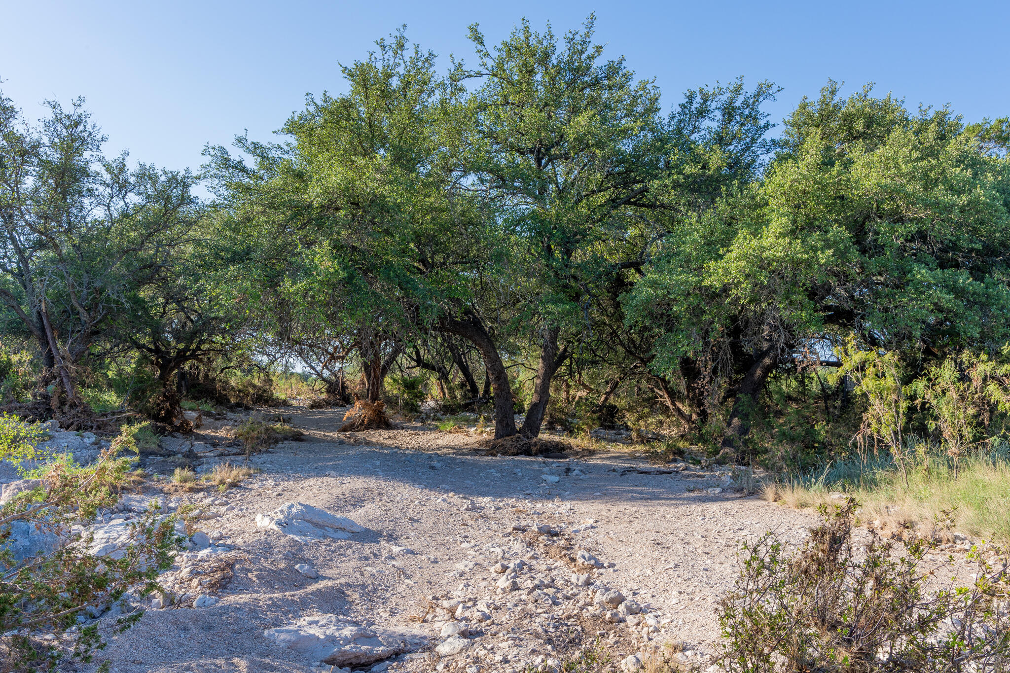 Tbd Tbd Redbud Road Ozona, TX 76943 - Photo 19 of 36 Grube-16