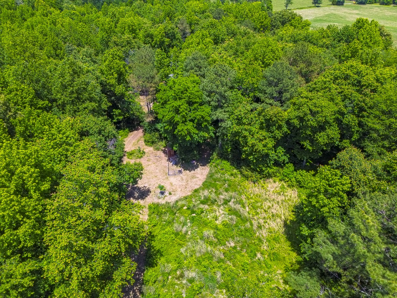 23 Grassy Branch Road Flintville, TN 37335 - Photo 12 of 24 a backyard of a house with lots of green space