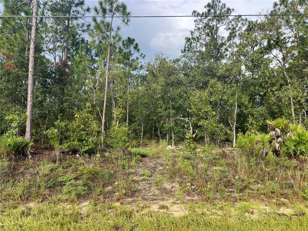 7180 North Henderson Way Dunnellon, FL 34434 - Photo 1 of 3 a view of a garden