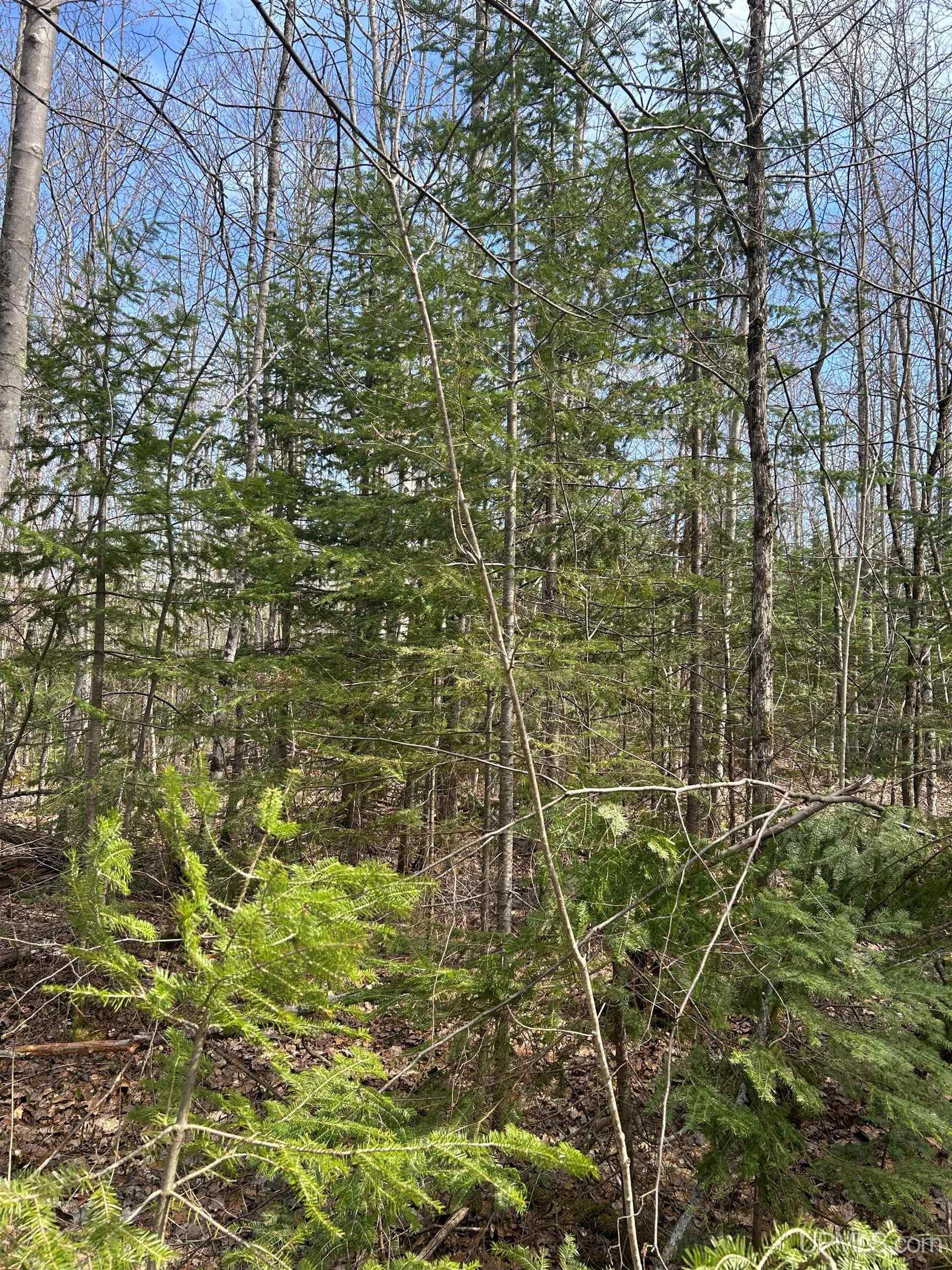 4-10 Firesteel Road Ontonagon, MI 49953 - Photo 10 of 28