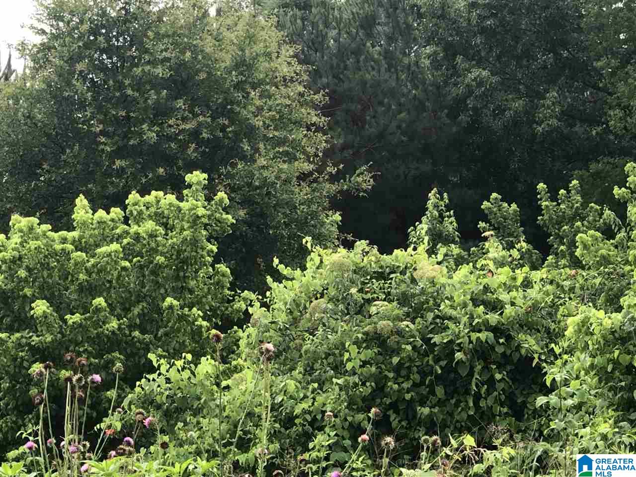 0 Old Downey Mill Road Anniston, AL 36207 - Photo 7 of 28