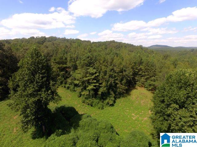 0 State Lake Road, Unit 31 ACRES Lineville, AL 36266 - Photo 3 of 15