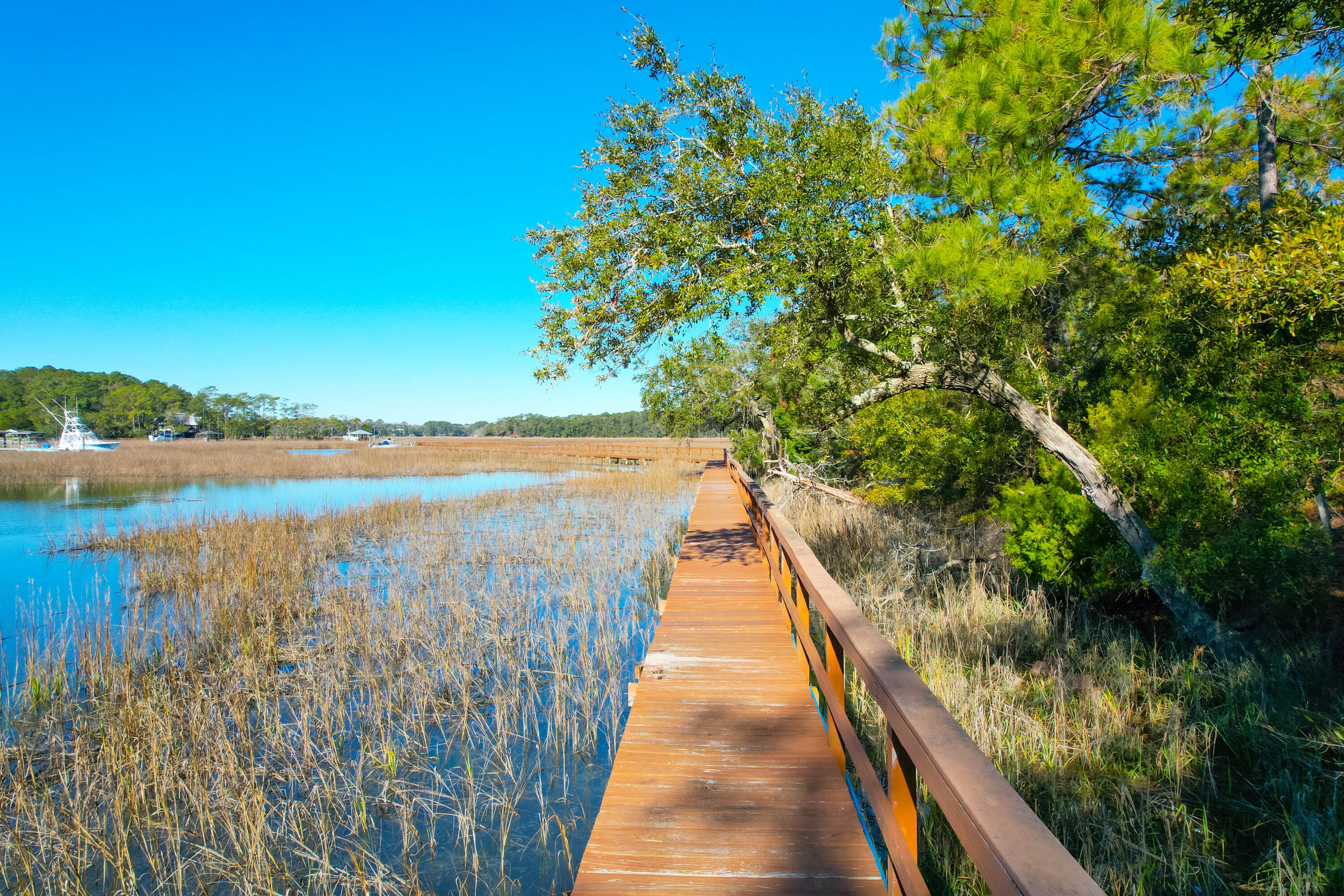 44 Edisto Ferry Road Edisto Island, SC 29438 - Photo 6 of 13 44 Edisto Ferry -Tidalcreekphoto- (17)