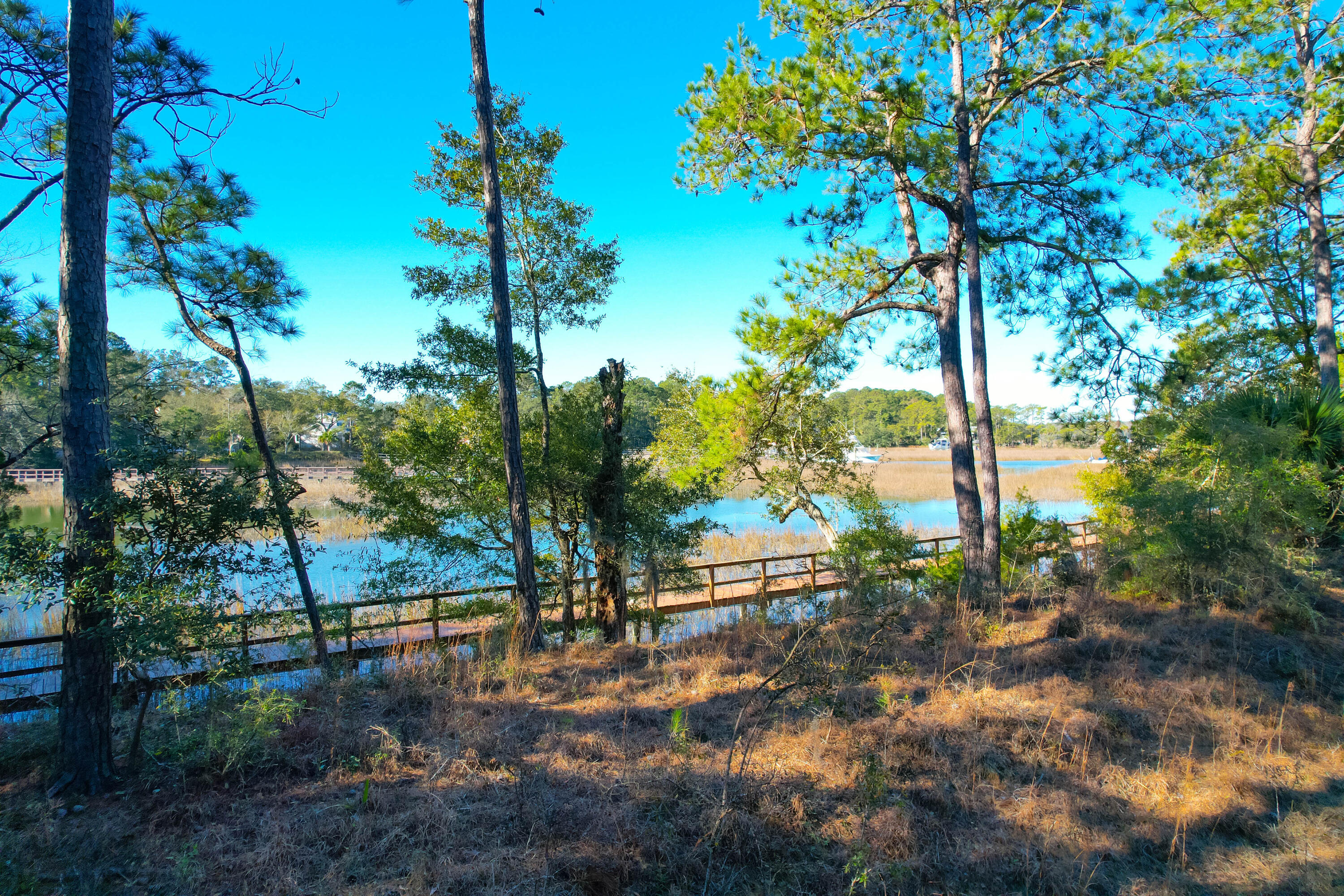 44 Edisto Ferry Road Edisto Island, SC 29438 - Photo 8 of 13 44 Edisto Ferry -Tidalcreekphoto- (19)
