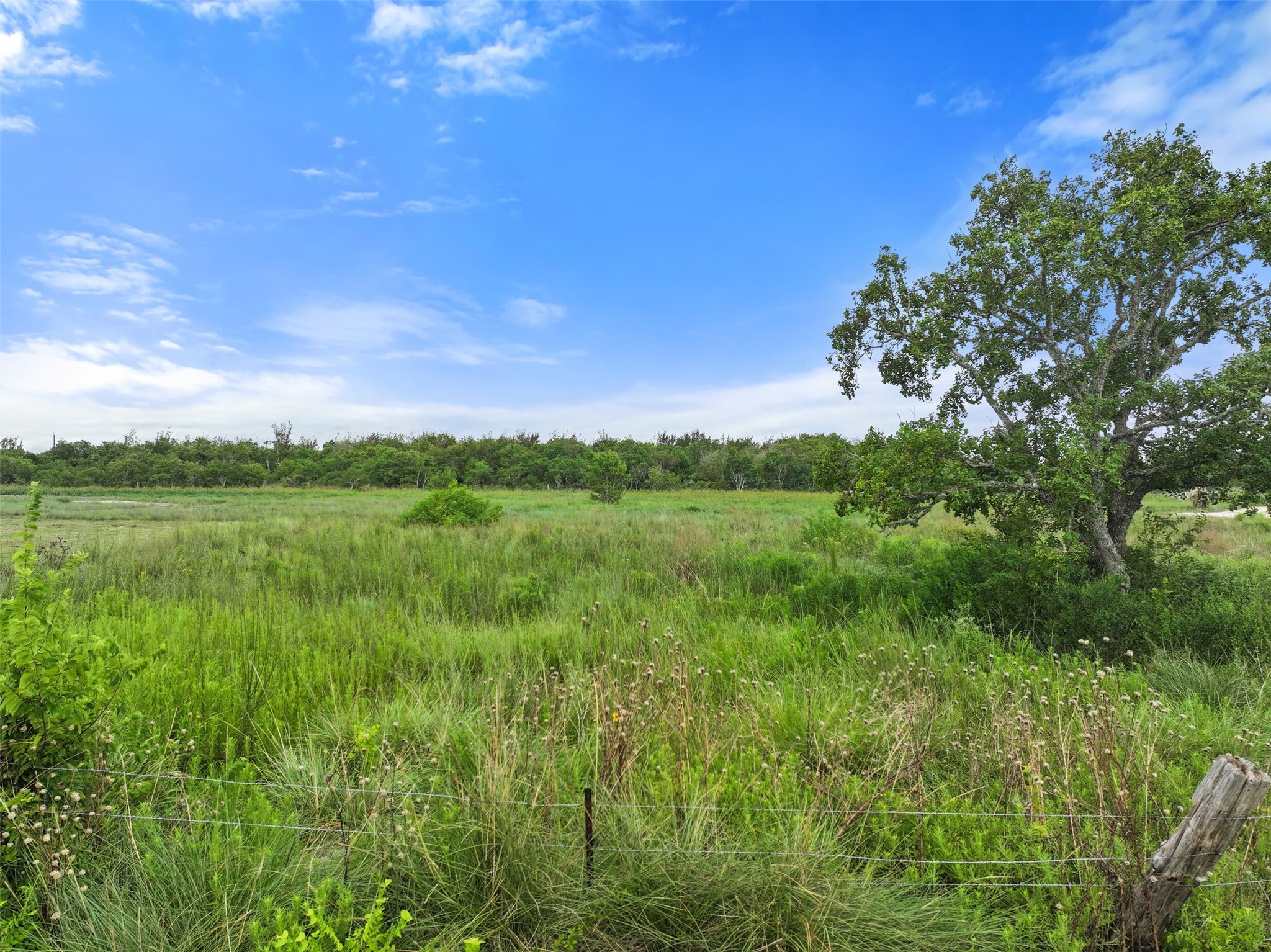 1222 23rd Street San Leon, TX 77539 - Photo 6 of 8 a view of a lush green space and a yard