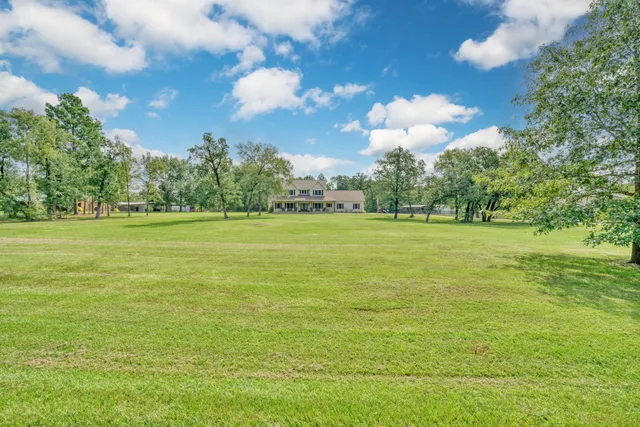 a view of a big yard with plants and large trees