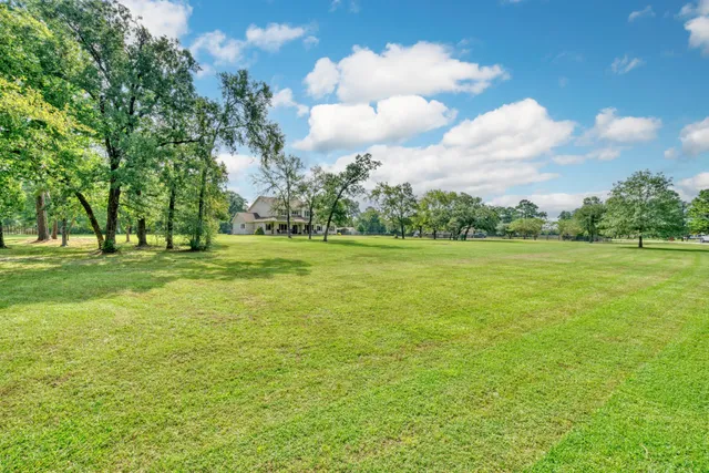 a view of a green field with lots of trees