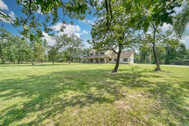 a huge green field with lots of bushes