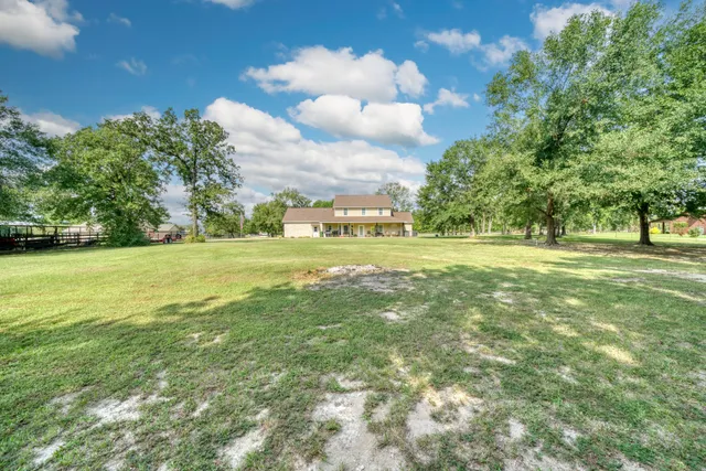 a view of a field with a big trees