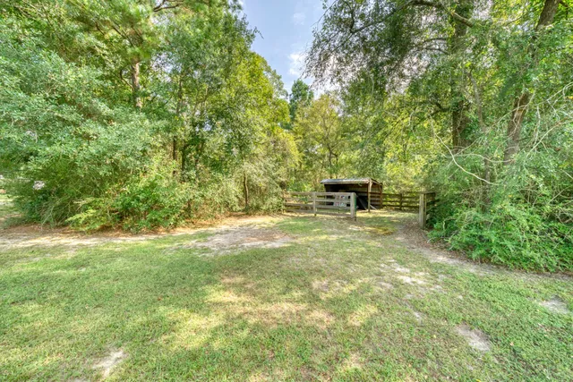 a backyard of a house with large trees and plants