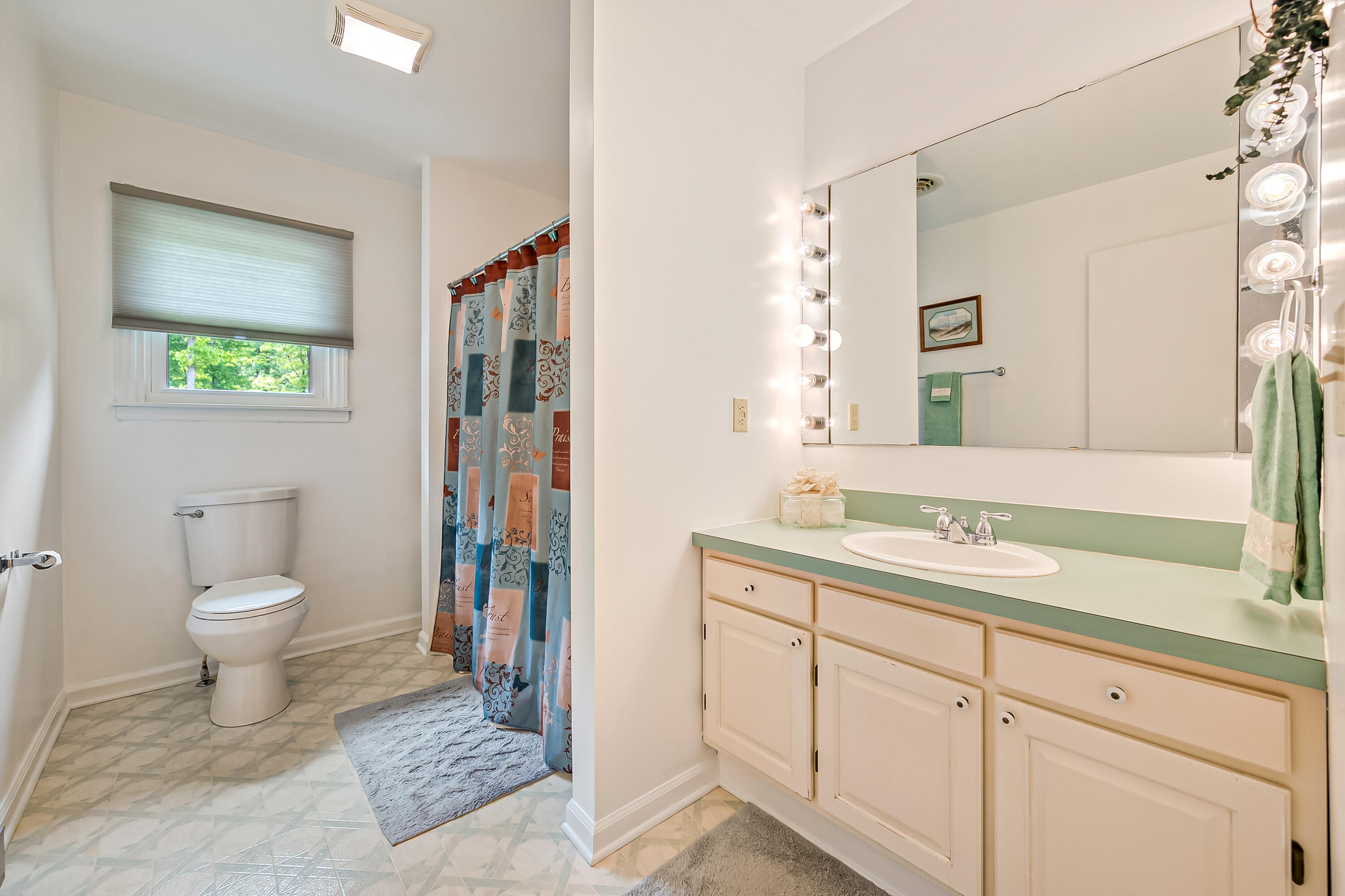 1365 Brake Road Elliston, VA 24087 - Photo 41 of 98 a spacious bathroom with a toilet sink and a mirror