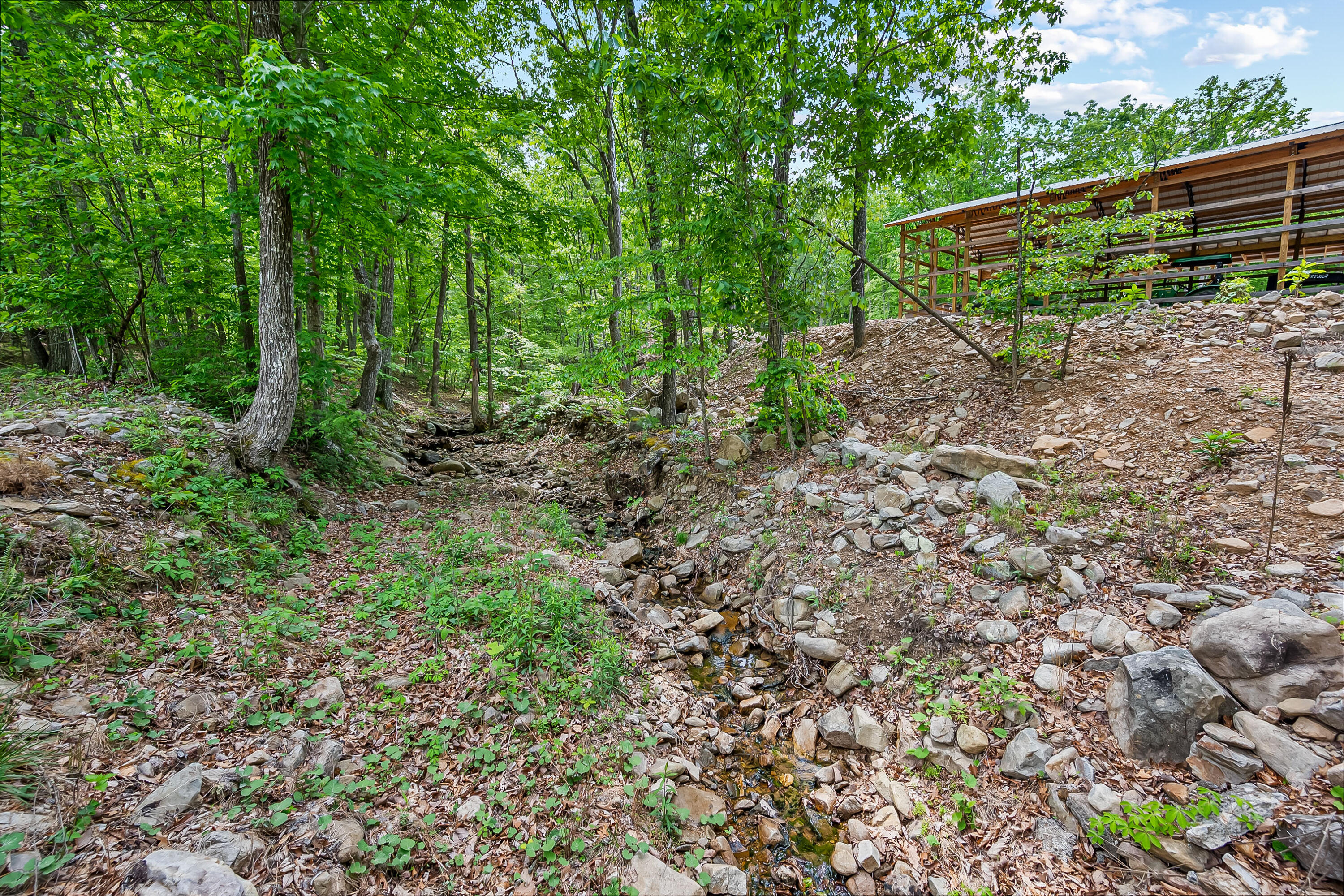 1365 Brake Road Elliston, VA 24087 - Photo 58 of 98 elliston va-56