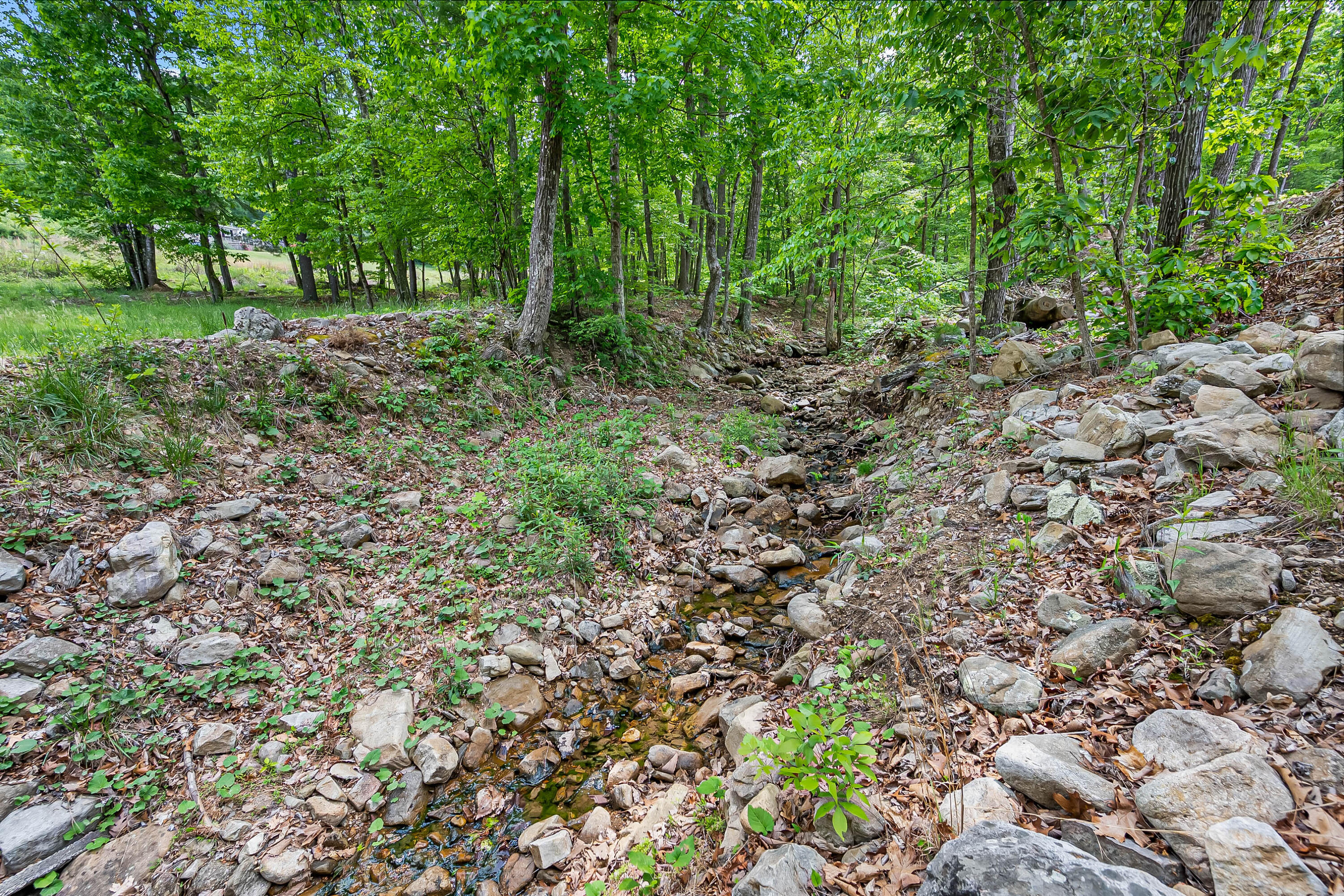 1365 Brake Road Elliston, VA 24087 - Photo 59 of 98 elliston va-57
