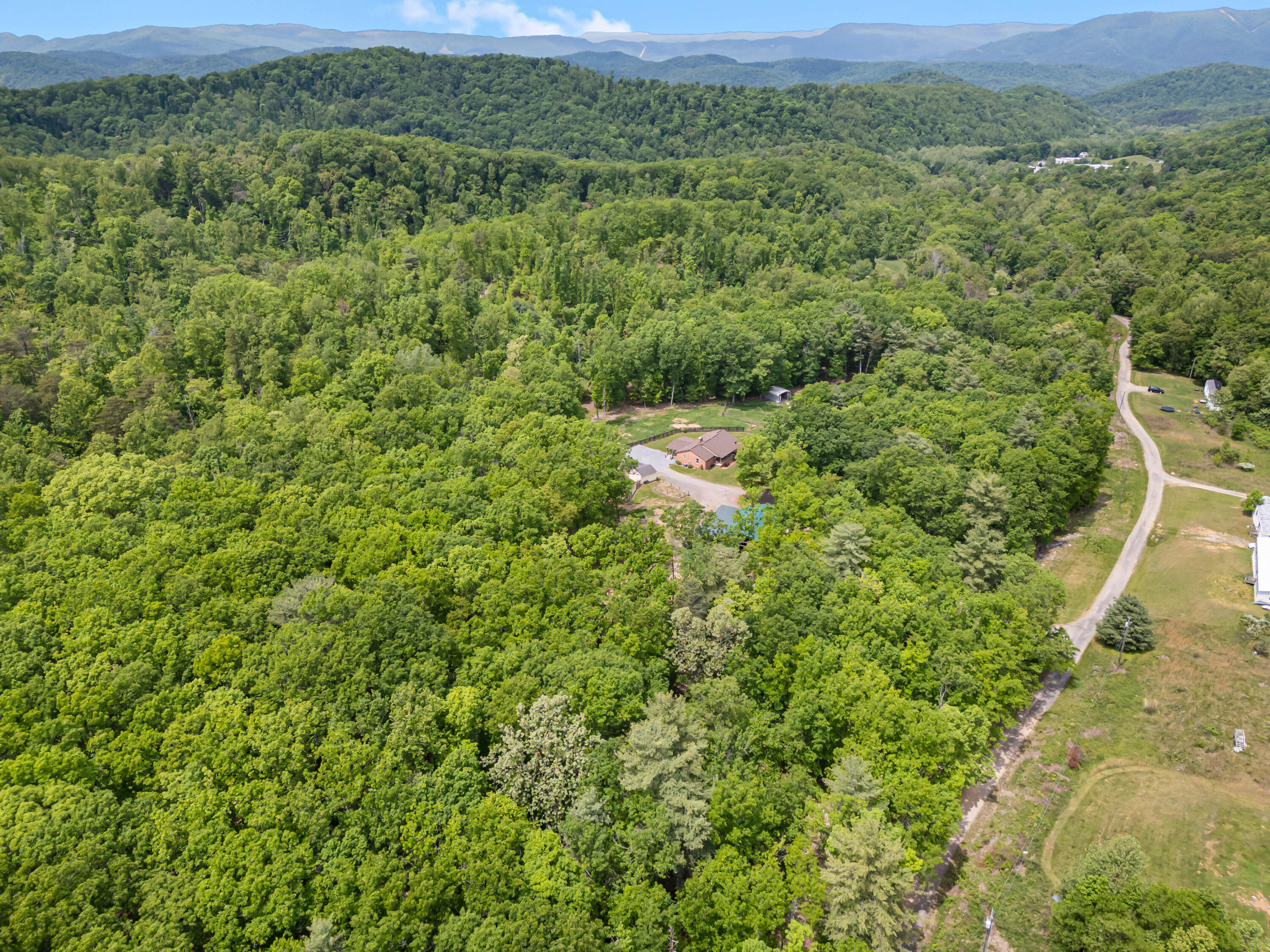 1365 Brake Road Elliston, VA 24087 - Photo 81 of 98 a view of a lush green forest with trees and houses