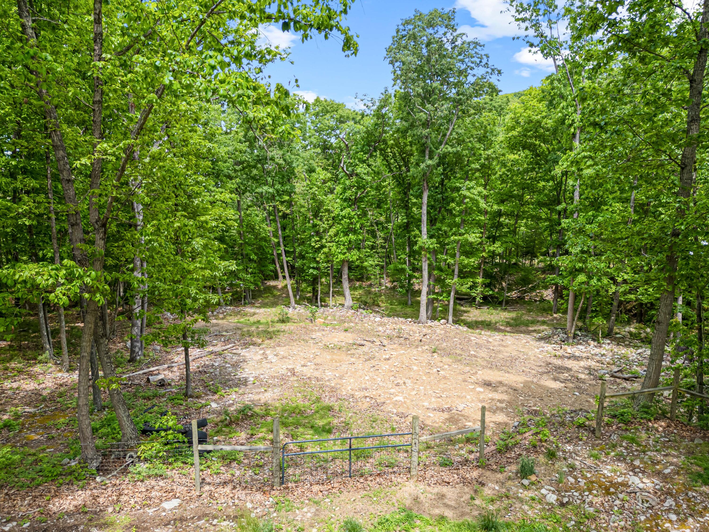 1365 Brake Road Elliston, VA 24087 - Photo 86 of 98 a view of a yard with plants and large trees